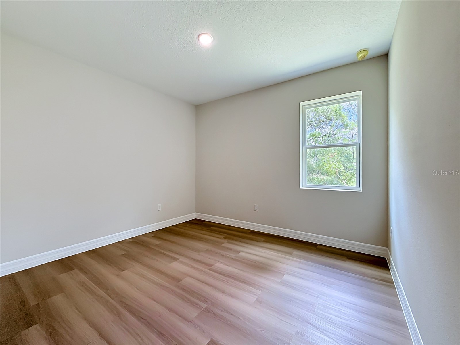 31825 Nutmeg Avenue Eustis FL 32736 O6407975 image22