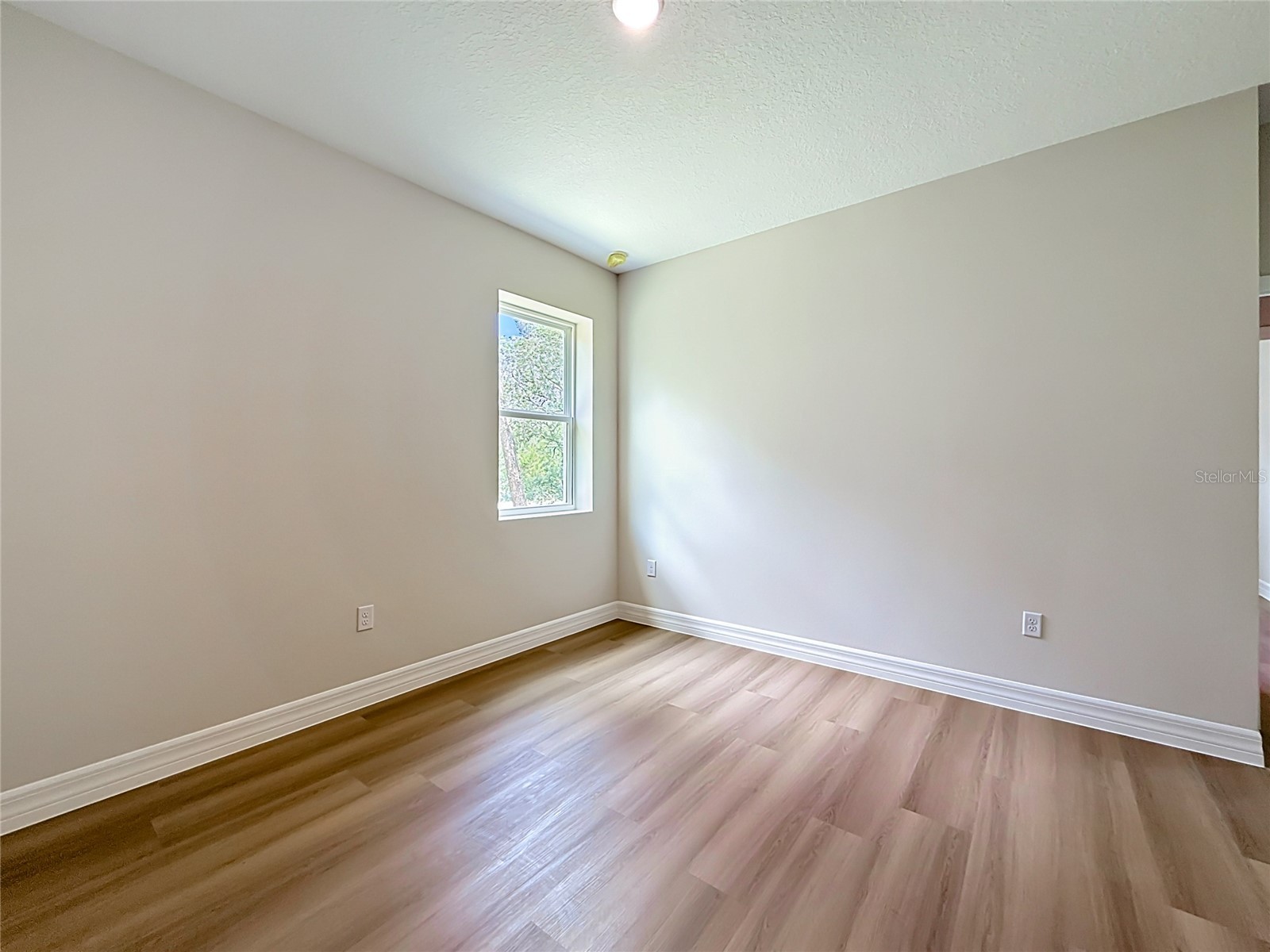 31825 Nutmeg Avenue Eustis FL 32736 O6407975 image23