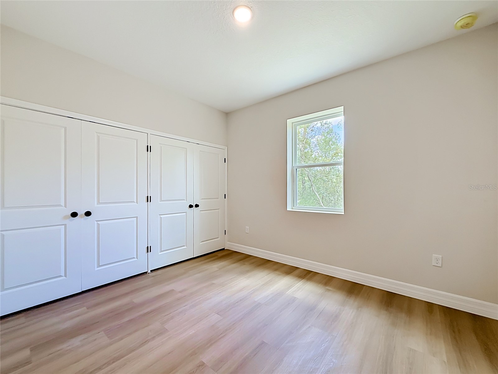 31825 Nutmeg Avenue Eustis FL 32736 O6407975 image26