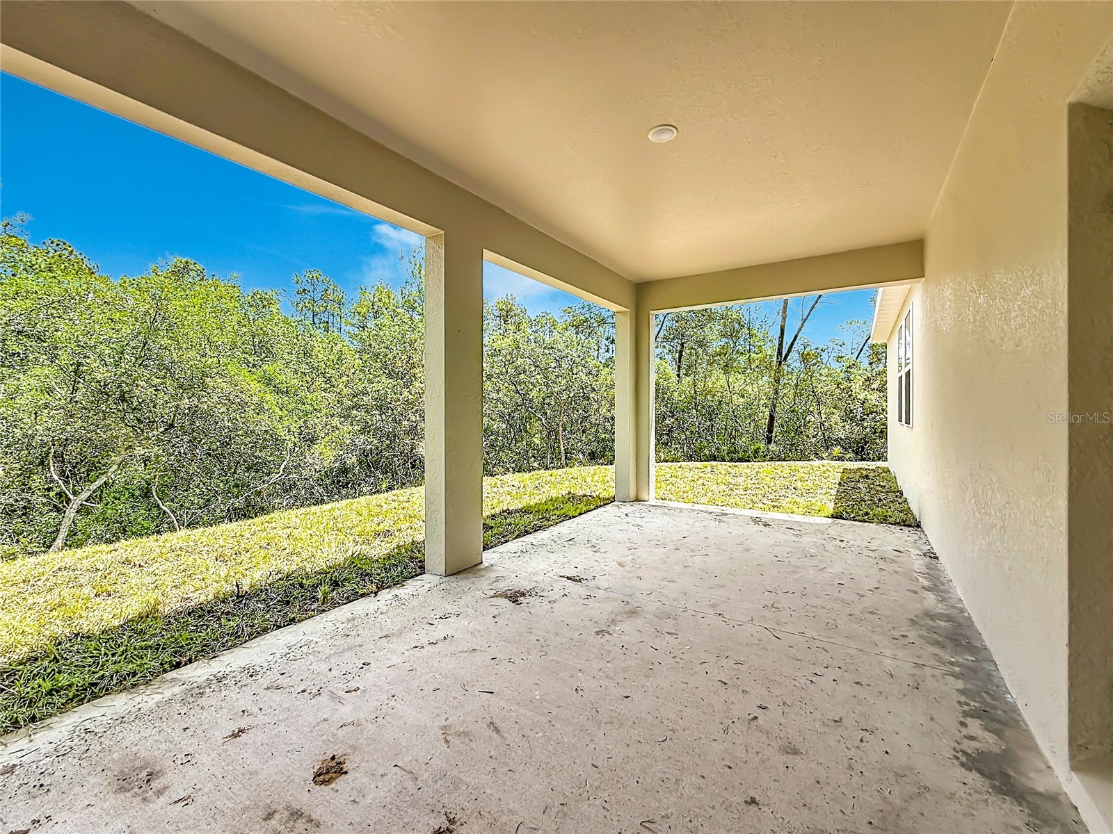 31825 Nutmeg Avenue Eustis FL 32736 O6407975 image46
