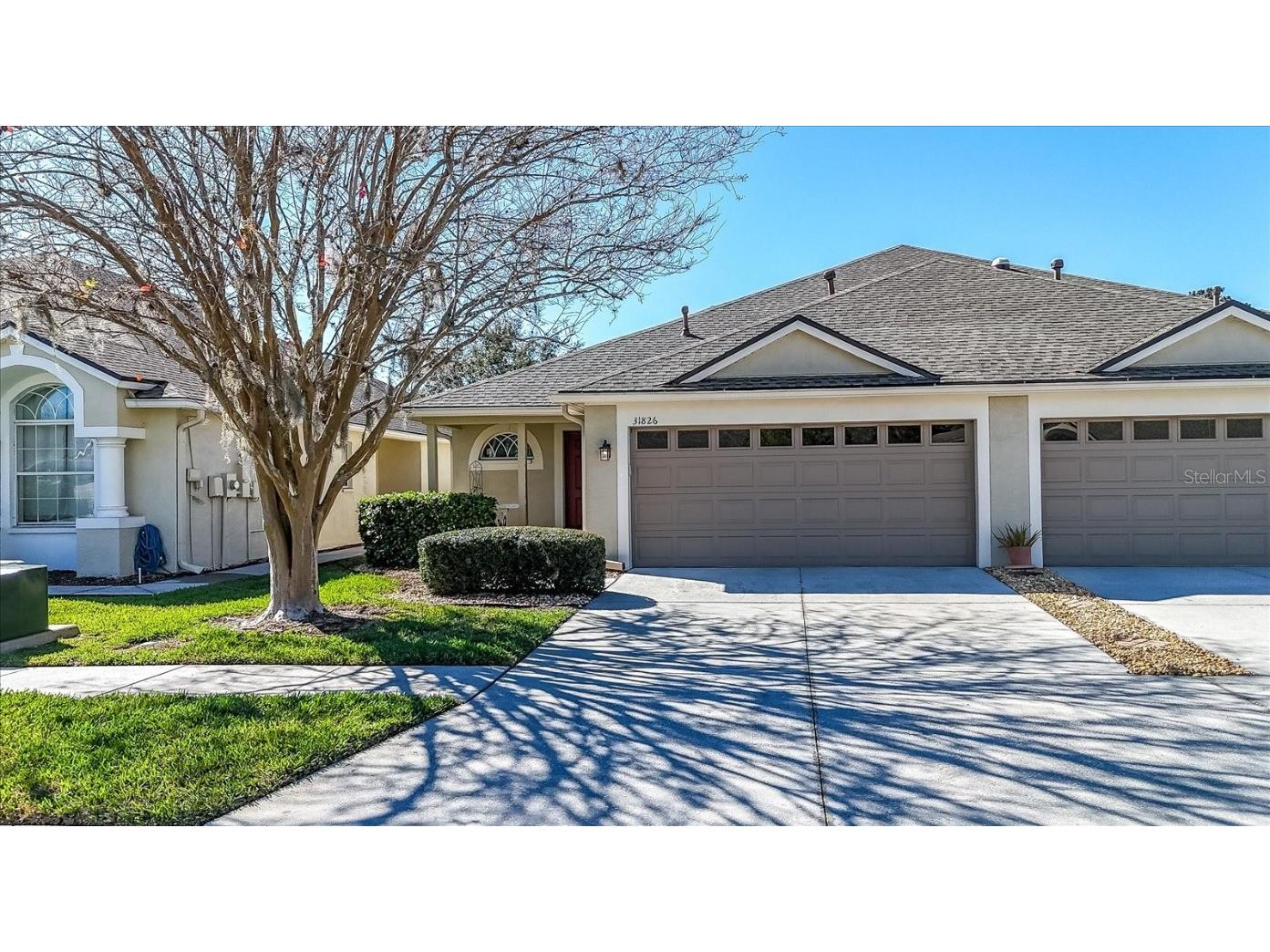 31826 Larkenheath Drive Wesley Chapel FL 33543 TB8352315 image1