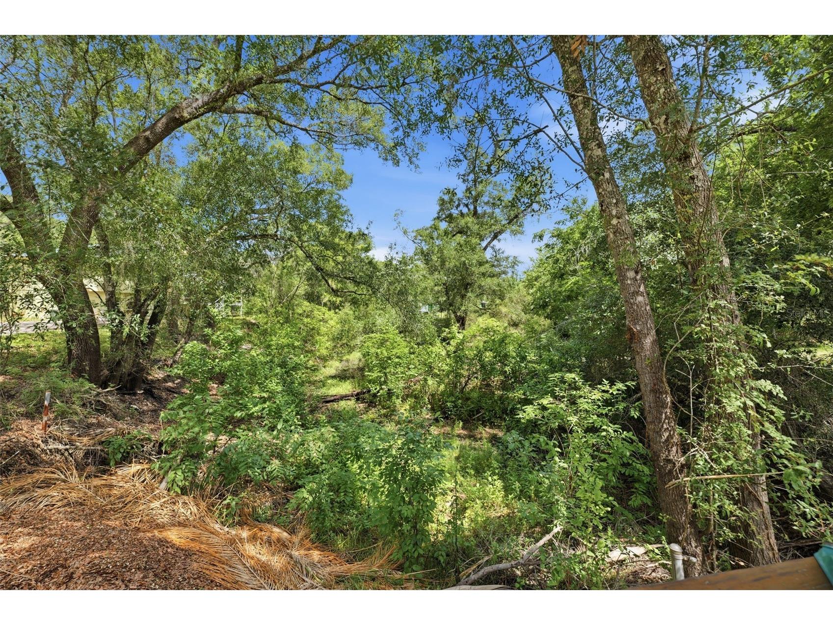 3183 Cedley Road Dade City FL 33523 - WITHALACOOCHIE W7886091 image27