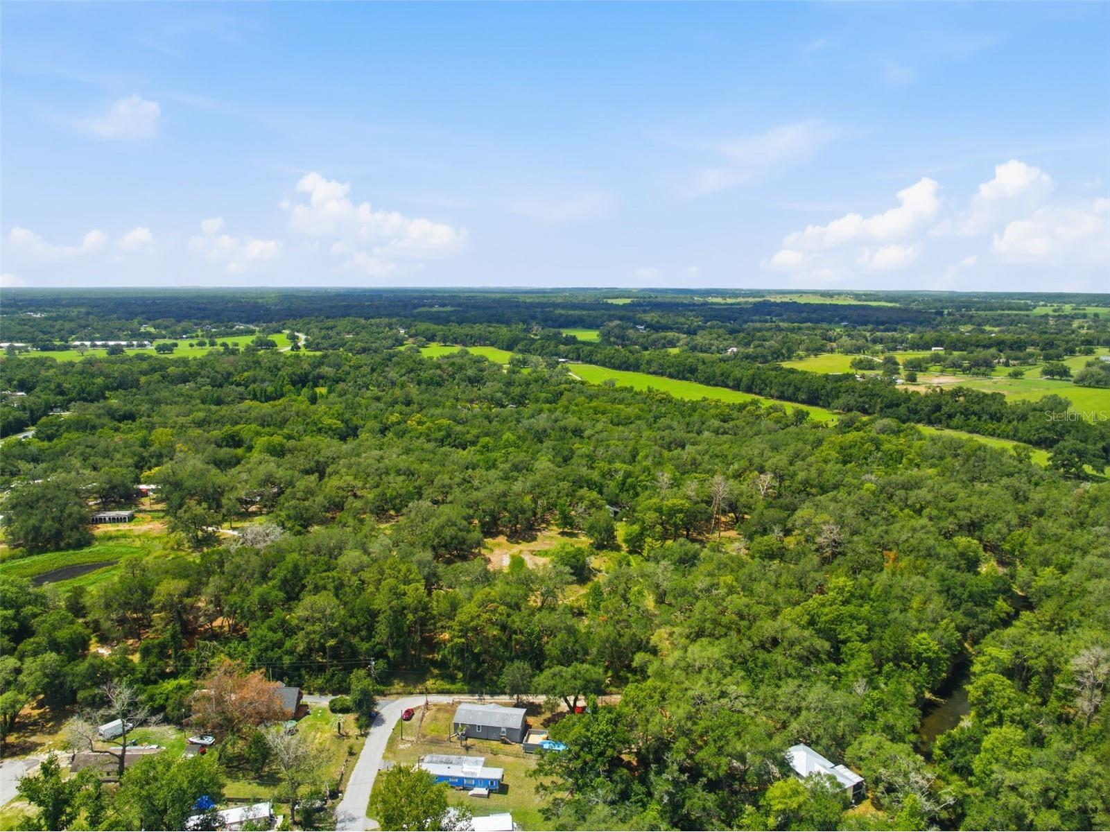 3183 Cedley Road Dade City FL 33523 - WITHALACOOCHIE W7886091 image33