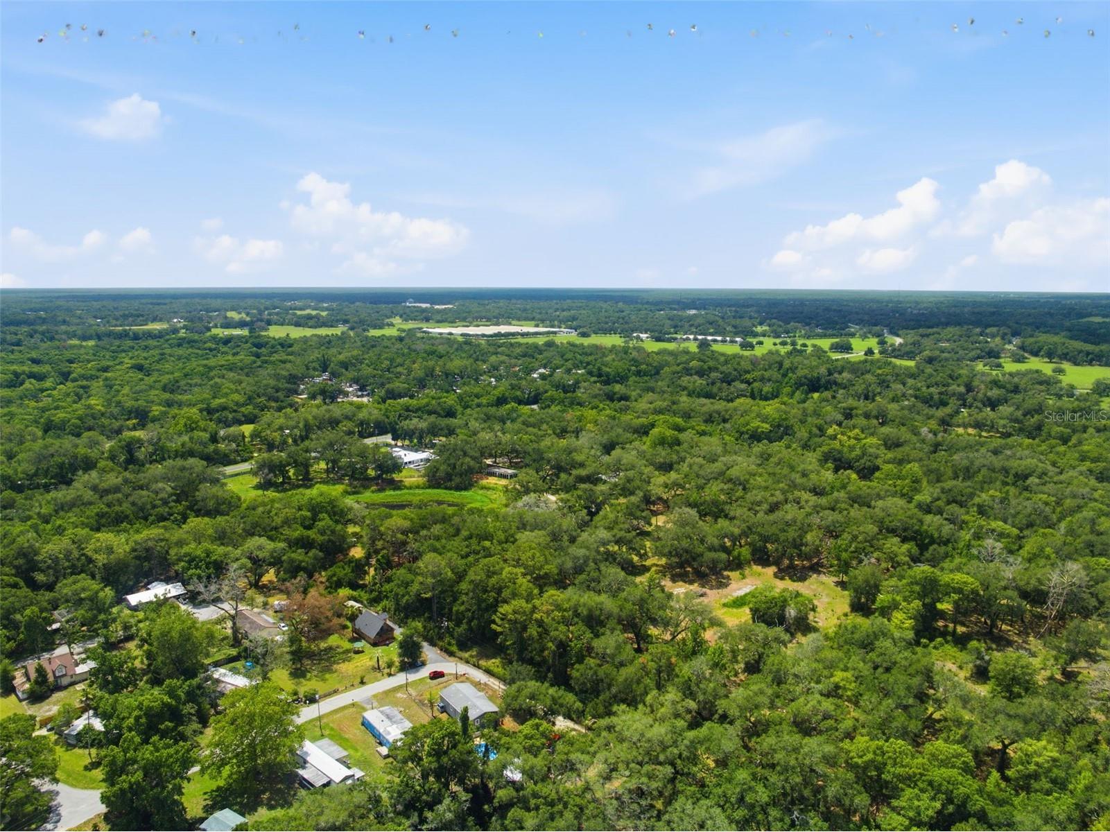 3183 Cedley Road Dade City FL 33523 - WITHALACOOCHIE W7886091 image37