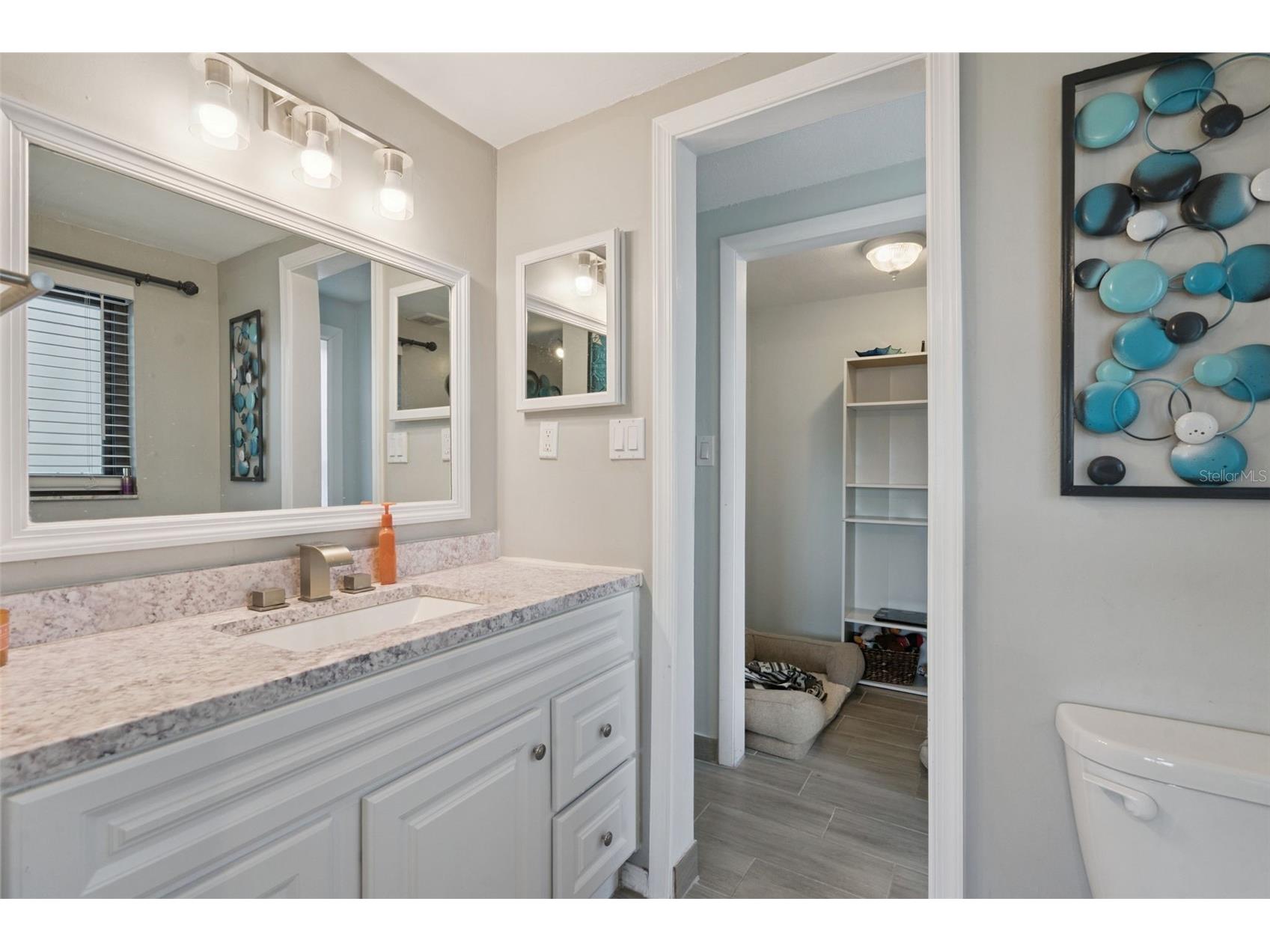 31834 Blanton Lane Tavares FL 32778 O6423622 image17
