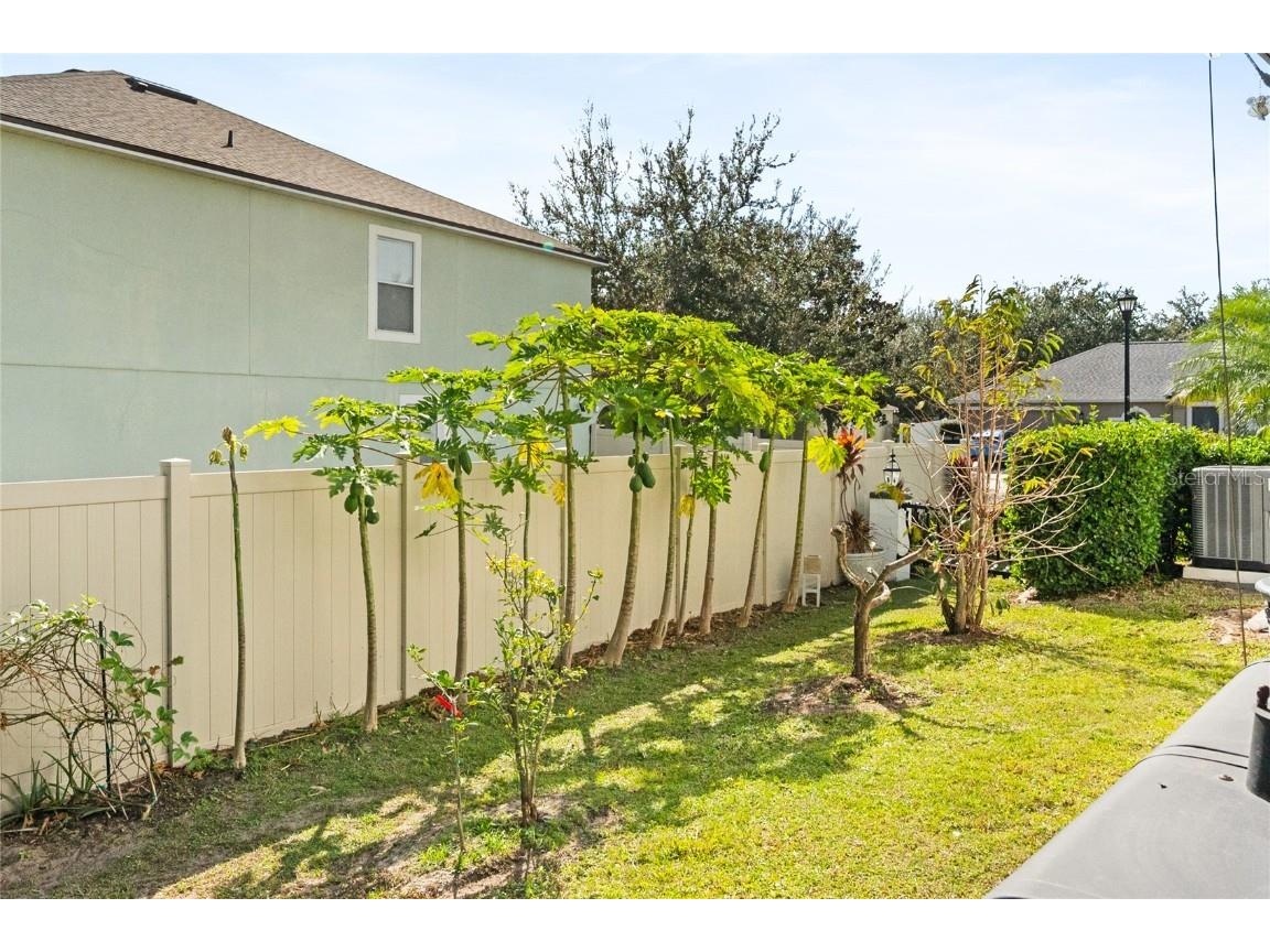 31834 Parkdale Leesburg FL 34748 O6365794 image34