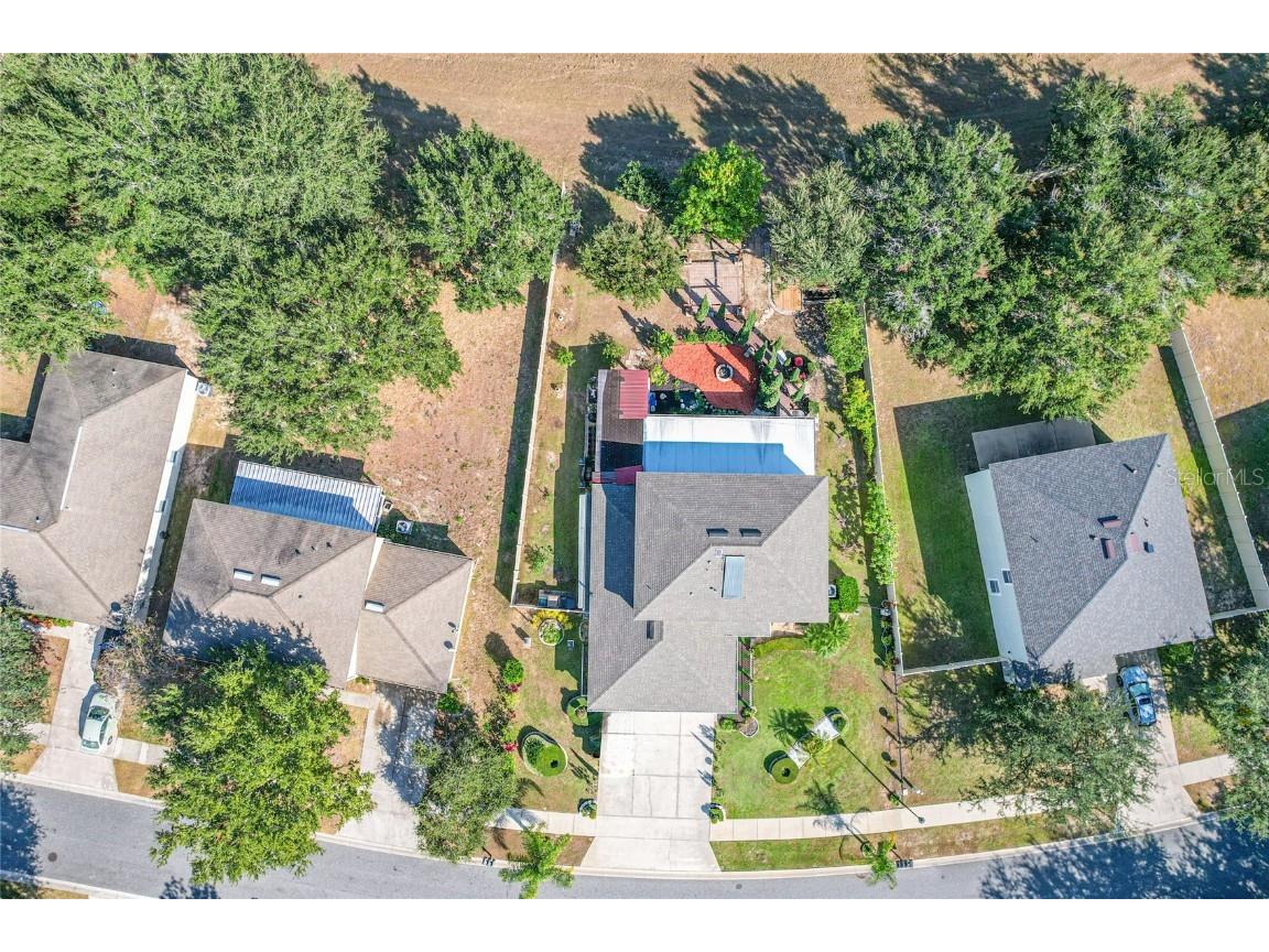 31834 Parkdale Leesburg FL 34748 O6365794 image36