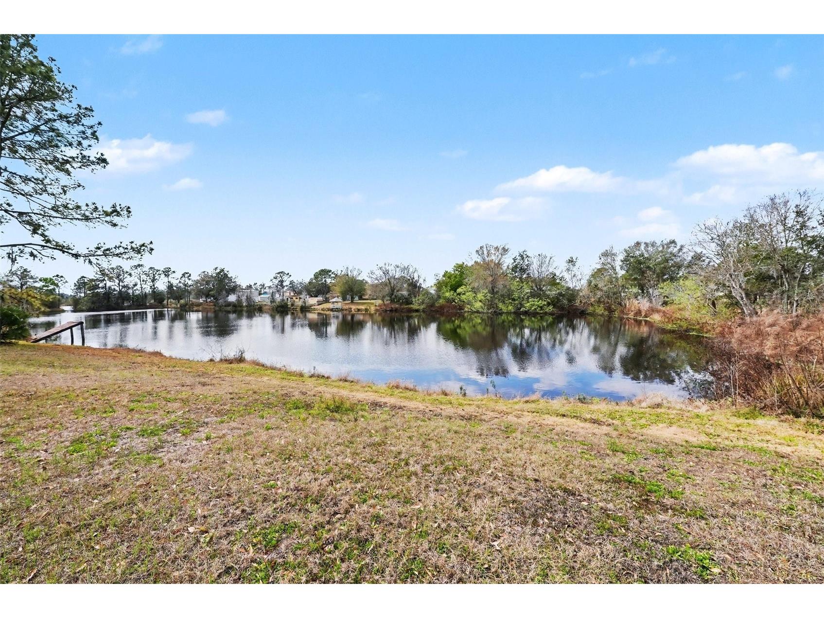 31835 Cromwell Lane Wesley Chapel FL 33543 TB8480706 image38