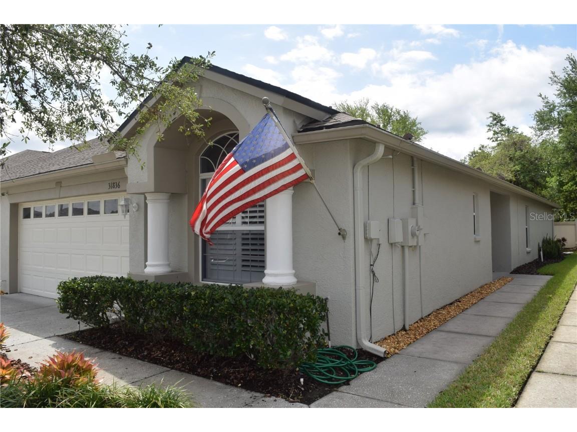 31836 Turkeyhill Drive Wesley Chapel FL 33543 U8236494 image1