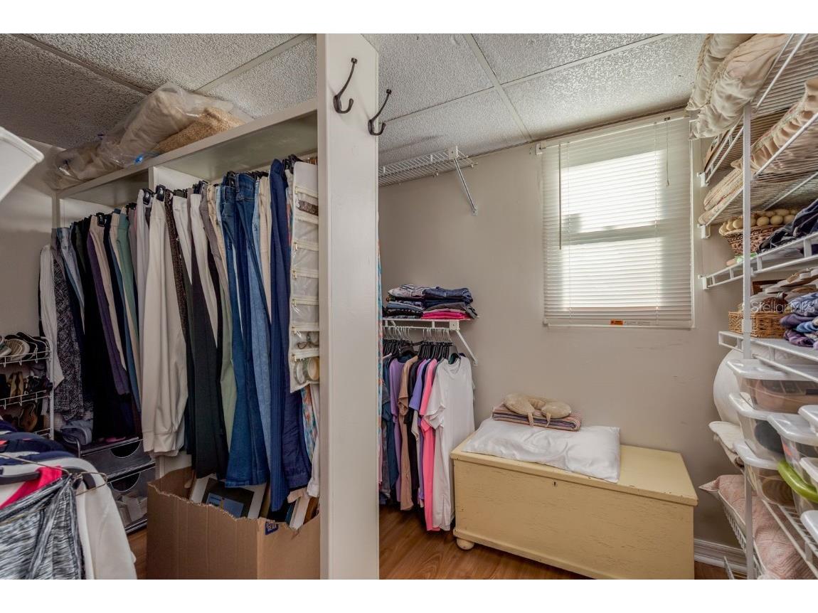 3184 Brunswick Circle Palm Harbor FL 34684 TB8431223 image27