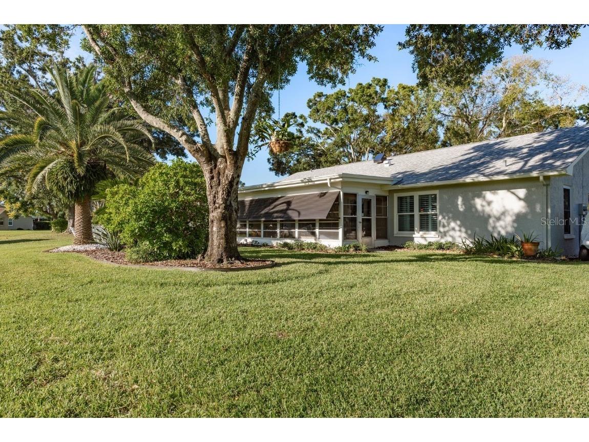 3184 Brunswick Circle Palm Harbor FL 34684 TB8431223 image38