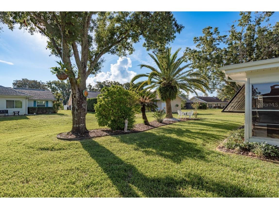 3184 Brunswick Circle Palm Harbor FL 34684 TB8431223 image40
