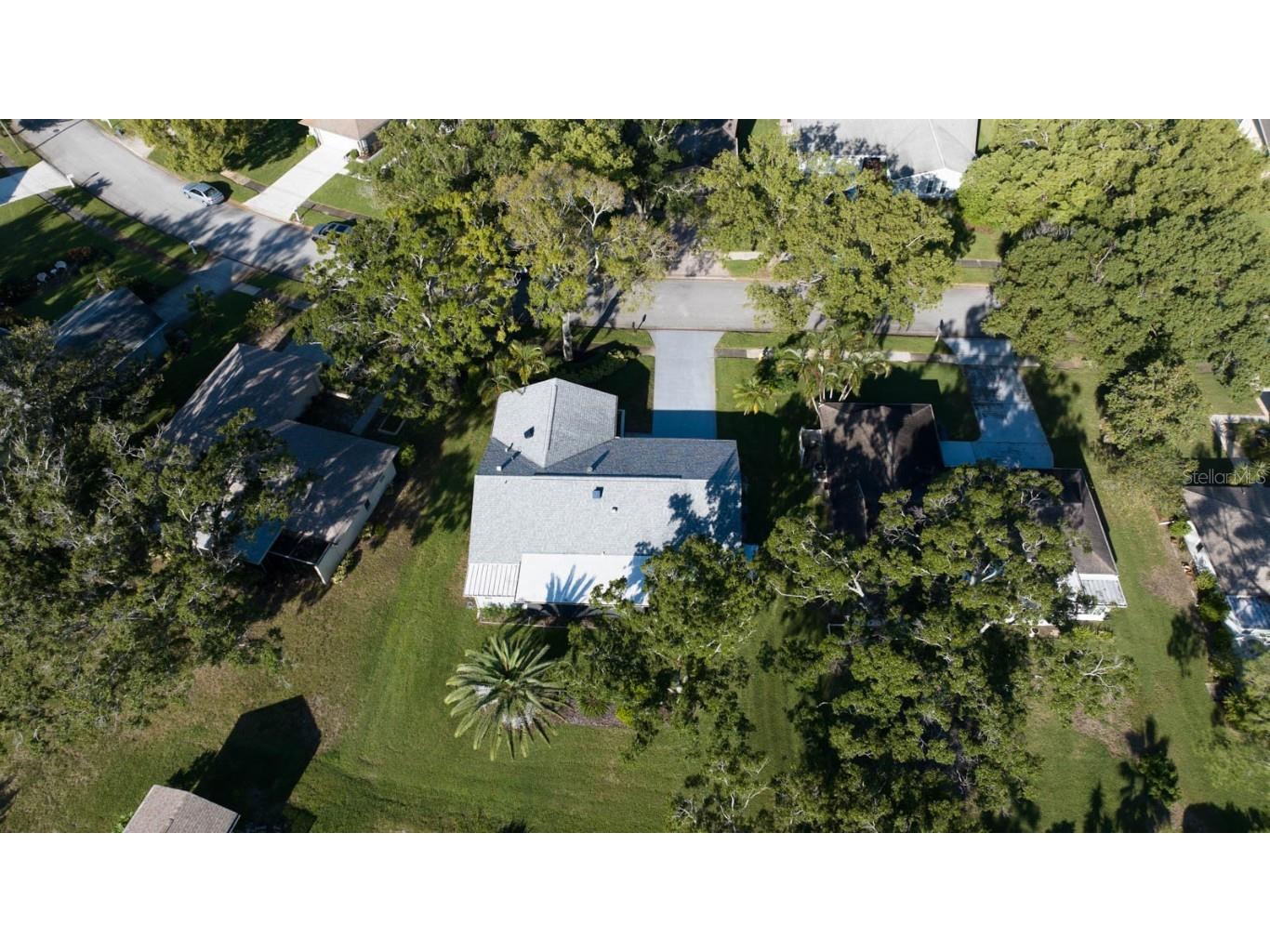 3184 Brunswick Circle Palm Harbor FL 34684 TB8431223 image43