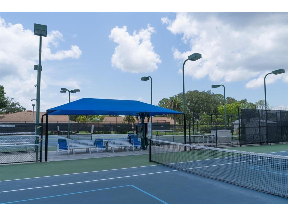 3184 Brunswick Circle Palm Harbor FL 34684 TB8431223 image46