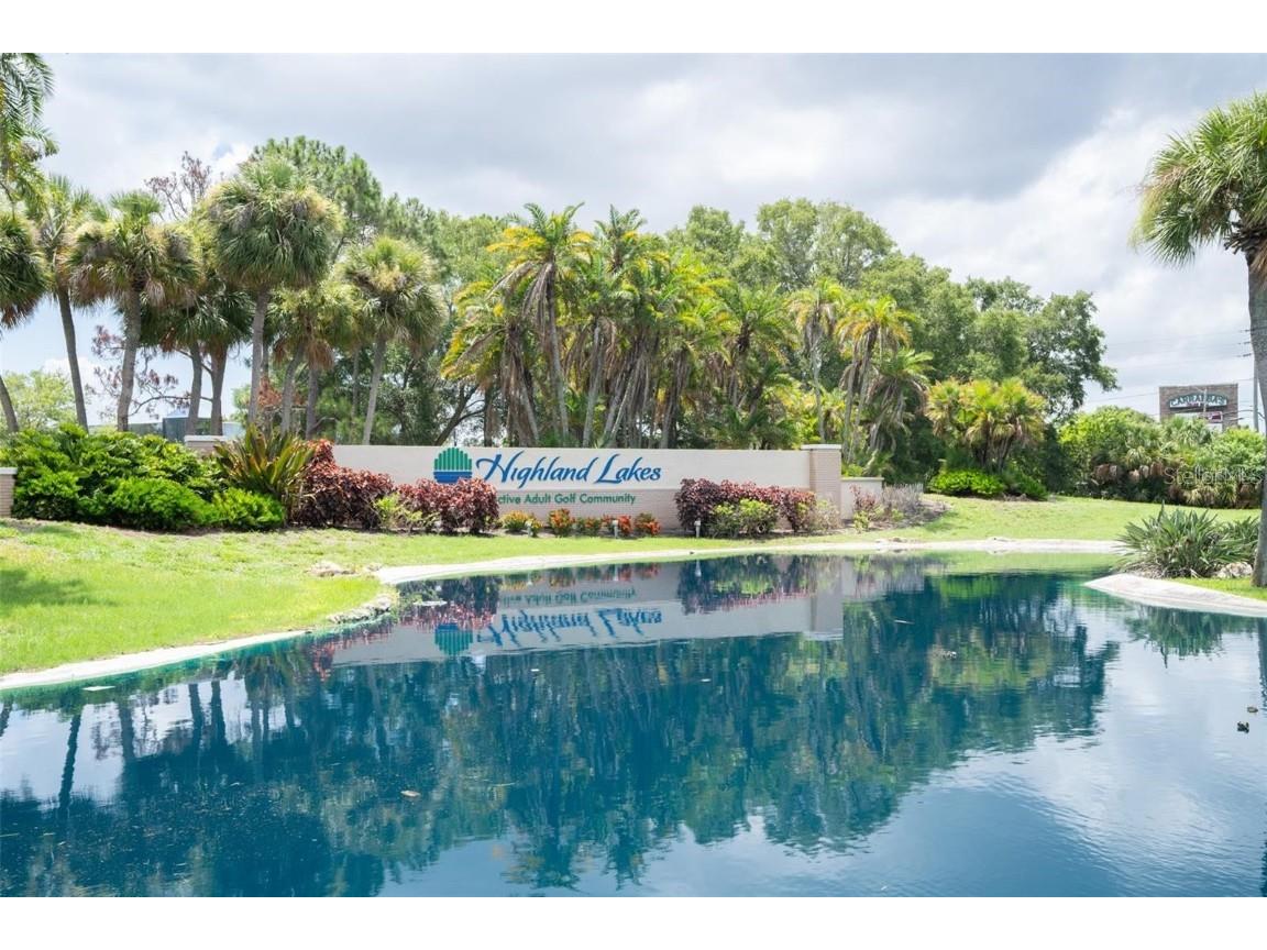 3184 Brunswick Circle Palm Harbor FL 34684 TB8431223 image47