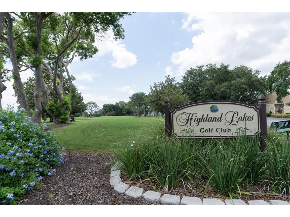 3184 Brunswick Circle Palm Harbor FL 34684 TB8431223 image48