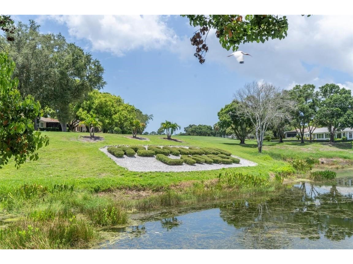 3184 Brunswick Circle Palm Harbor FL 34684 TB8431223 image51