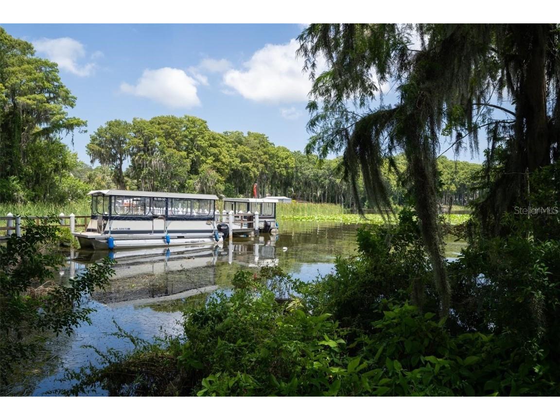 3184 Brunswick Circle Palm Harbor FL 34684 TB8431223 image52