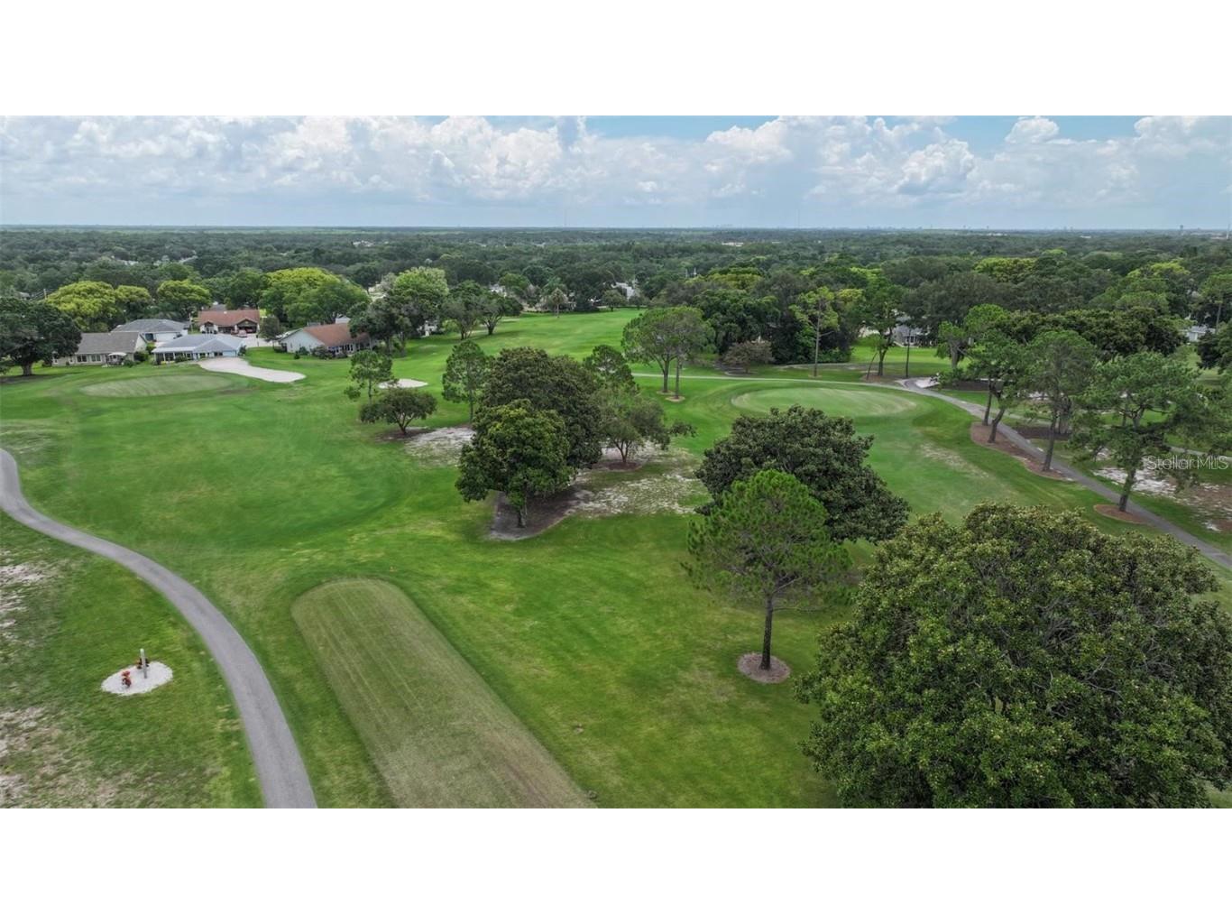 3184 Brunswick Circle Palm Harbor FL 34684 TB8431223 image53