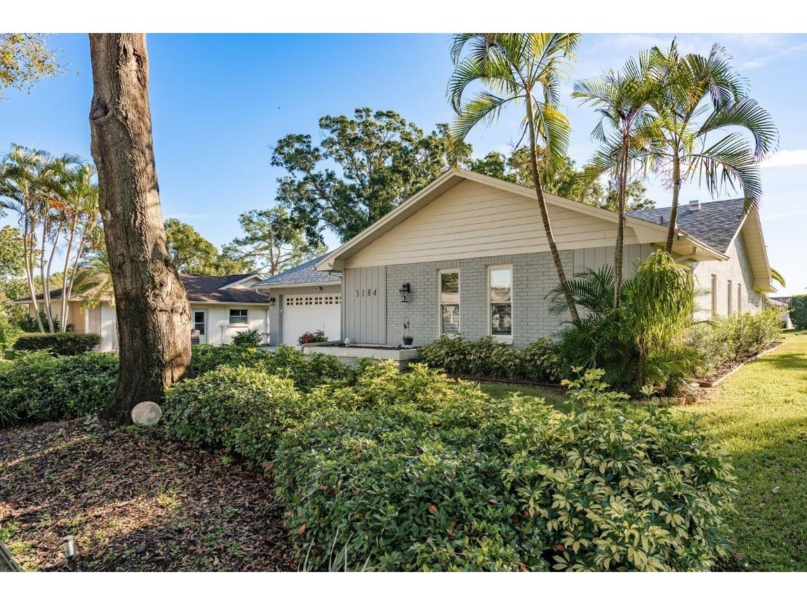 3184 Brunswick Circle Palm Harbor FL 34684 TB8431223 image8