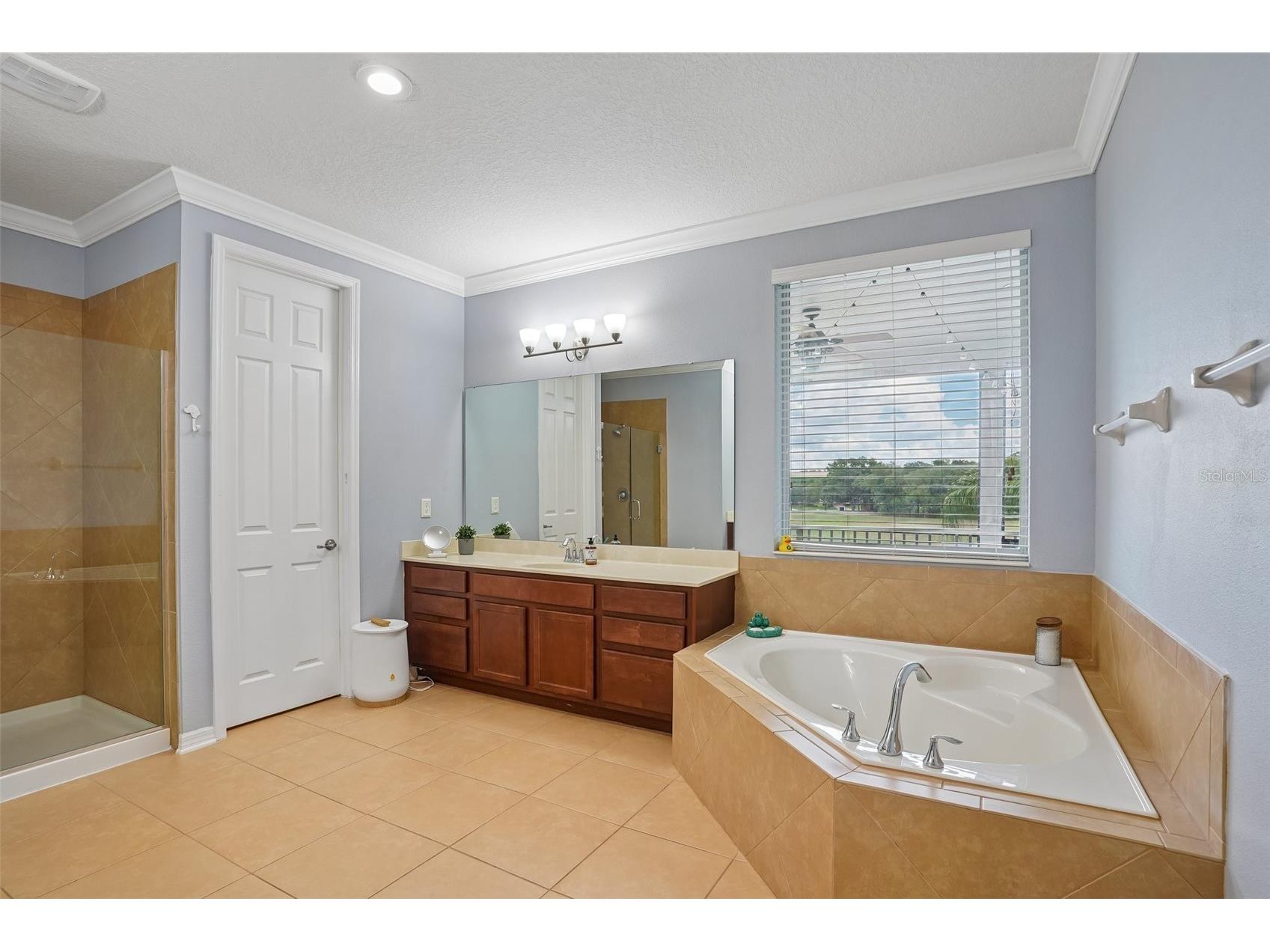 3184 Park Meadow Drive Apopka FL 32703 O6407315 image23