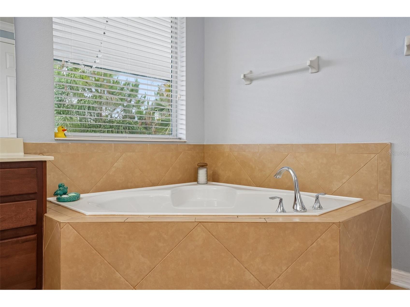3184 Park Meadow Drive Apopka FL 32703 O6407315 image24