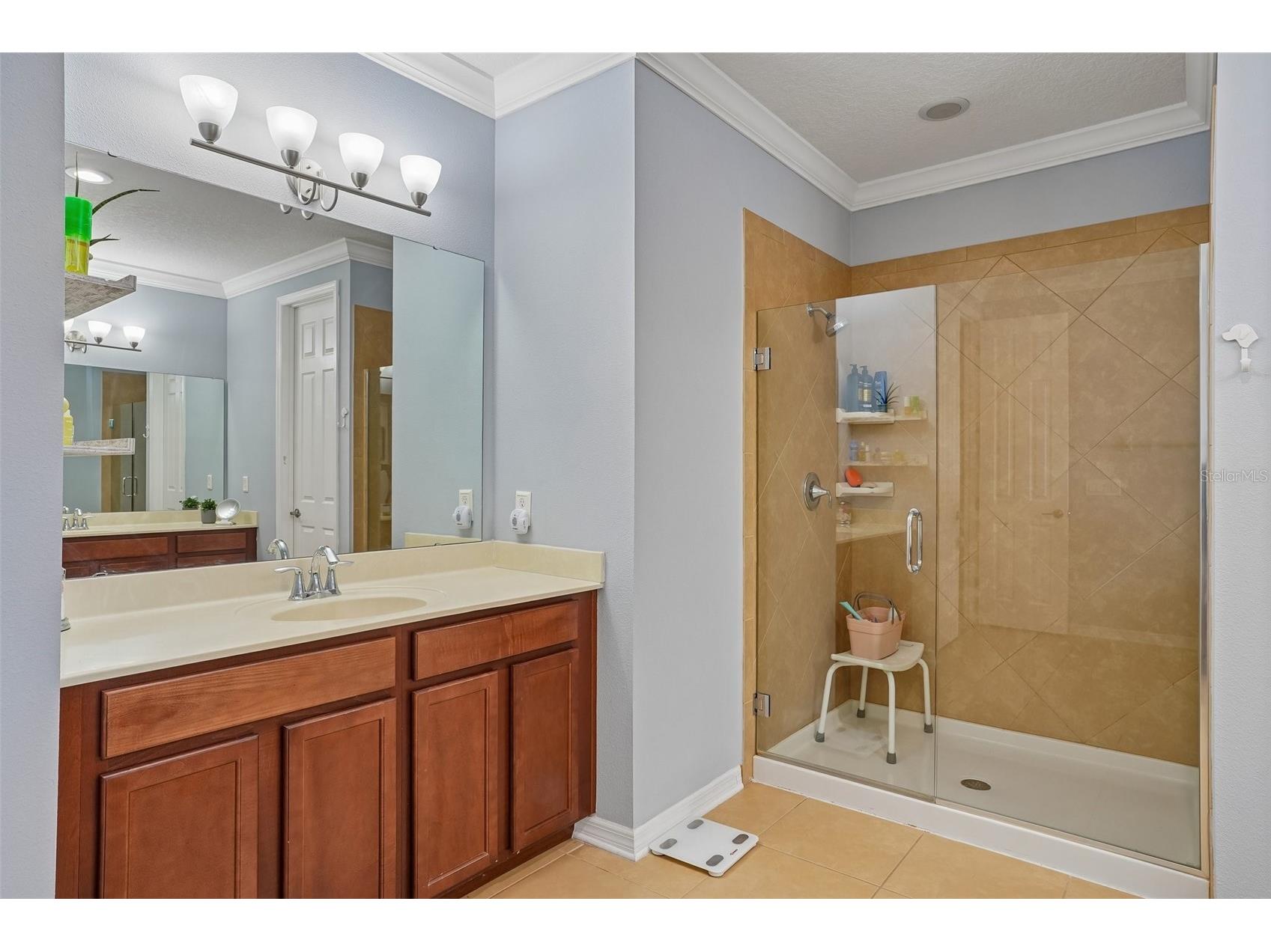 3184 Park Meadow Drive Apopka FL 32703 O6407315 image25