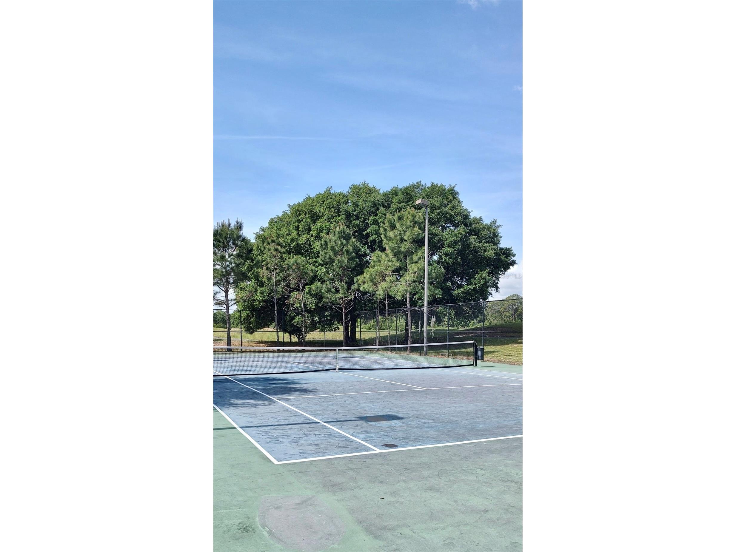 3184 Songbird Circle Harmony FL 34773 - BUCK LAKE AND CAT LAKE S5129784 image44