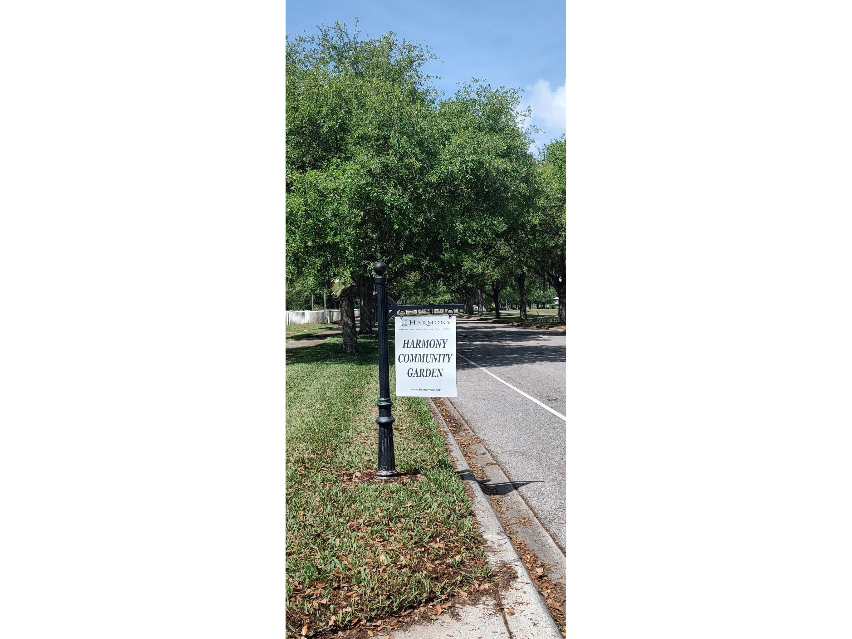 3184 Songbird Circle Harmony FL 34773 - BUCK LAKE AND CAT LAKE S5129784 image51