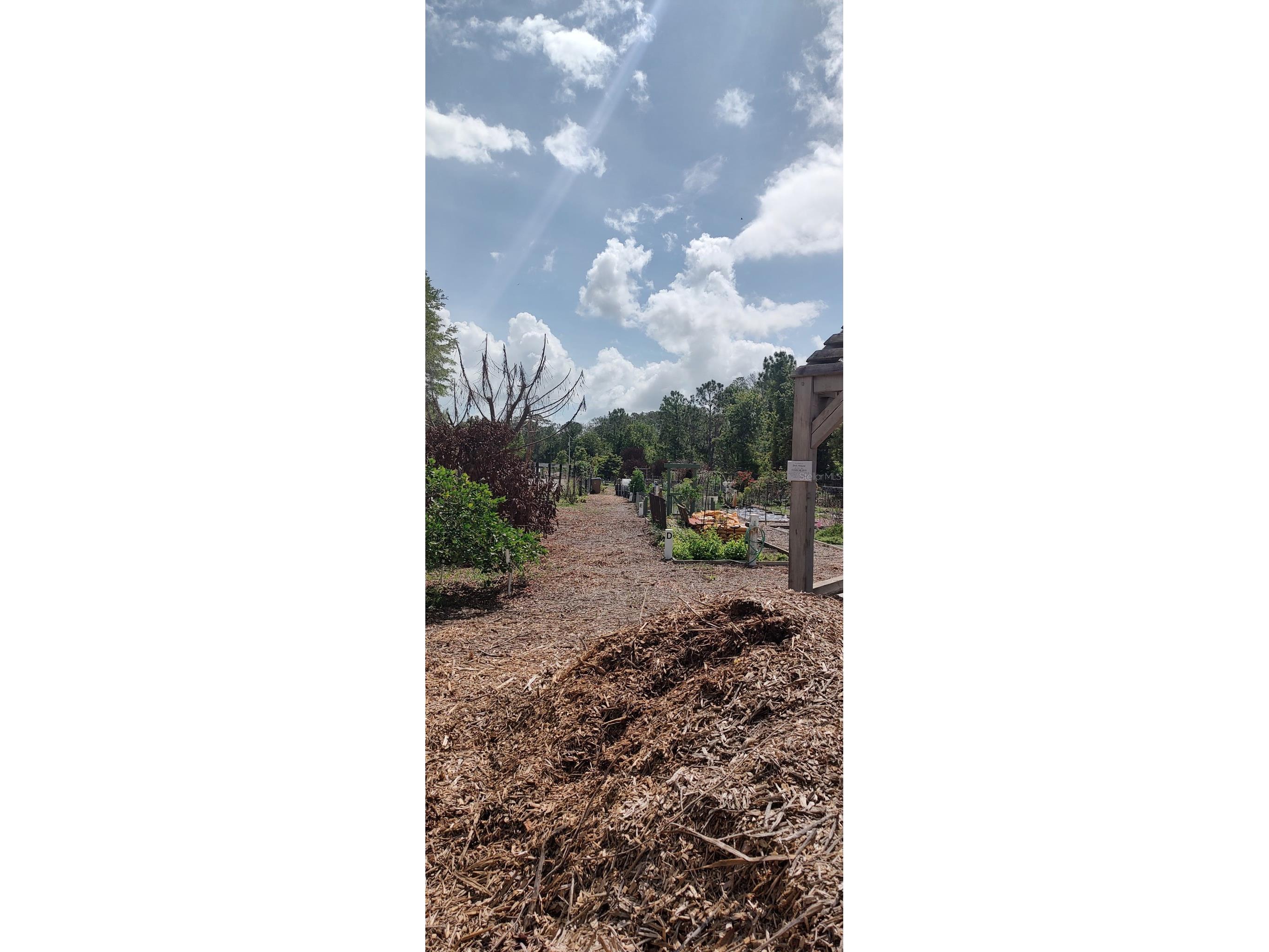 3184 Songbird Circle Harmony FL 34773 - BUCK LAKE AND CAT LAKE S5129784 image54