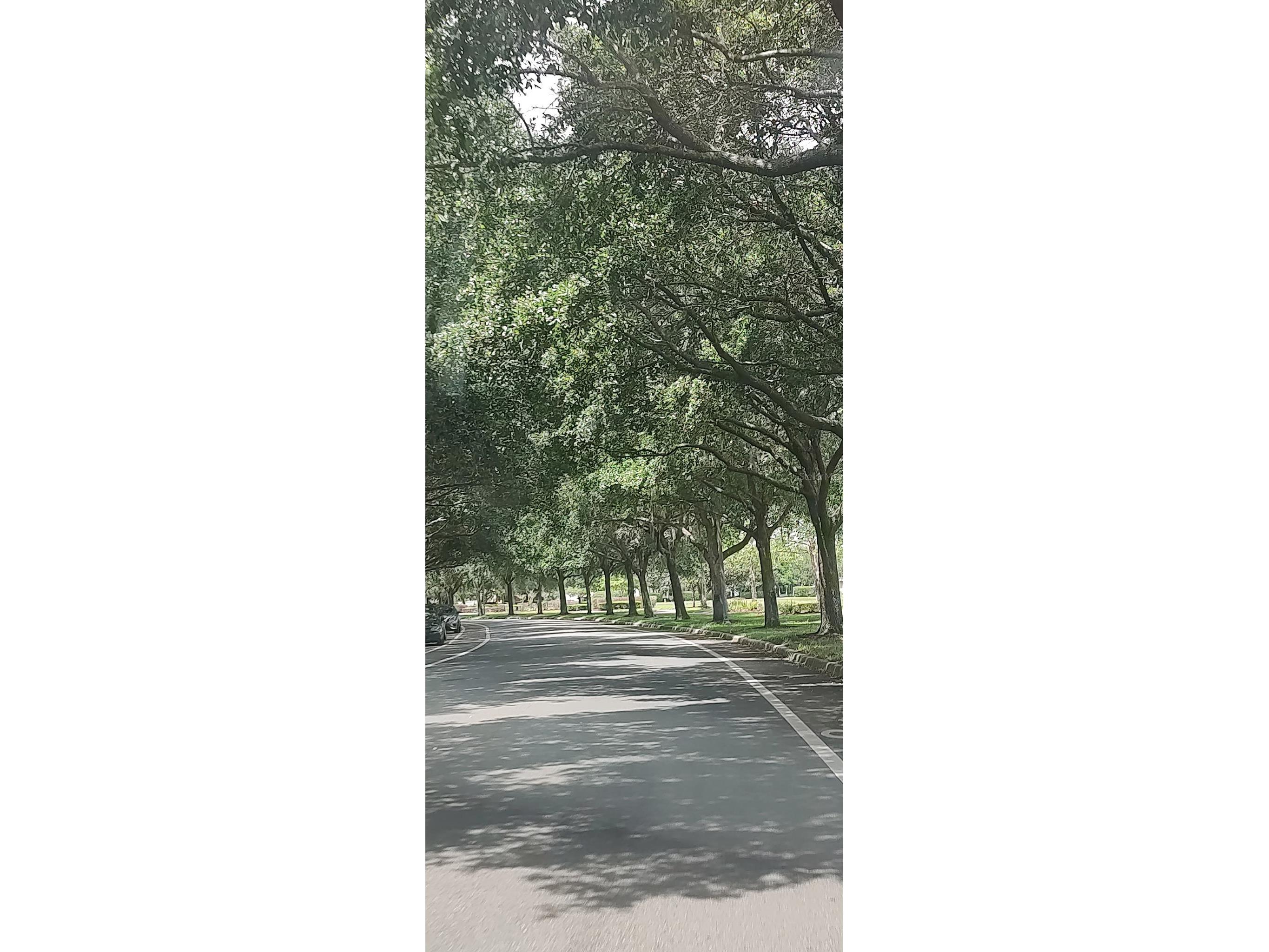 3184 Songbird Circle Harmony FL 34773 - BUCK LAKE AND CAT LAKE S5129784 image58