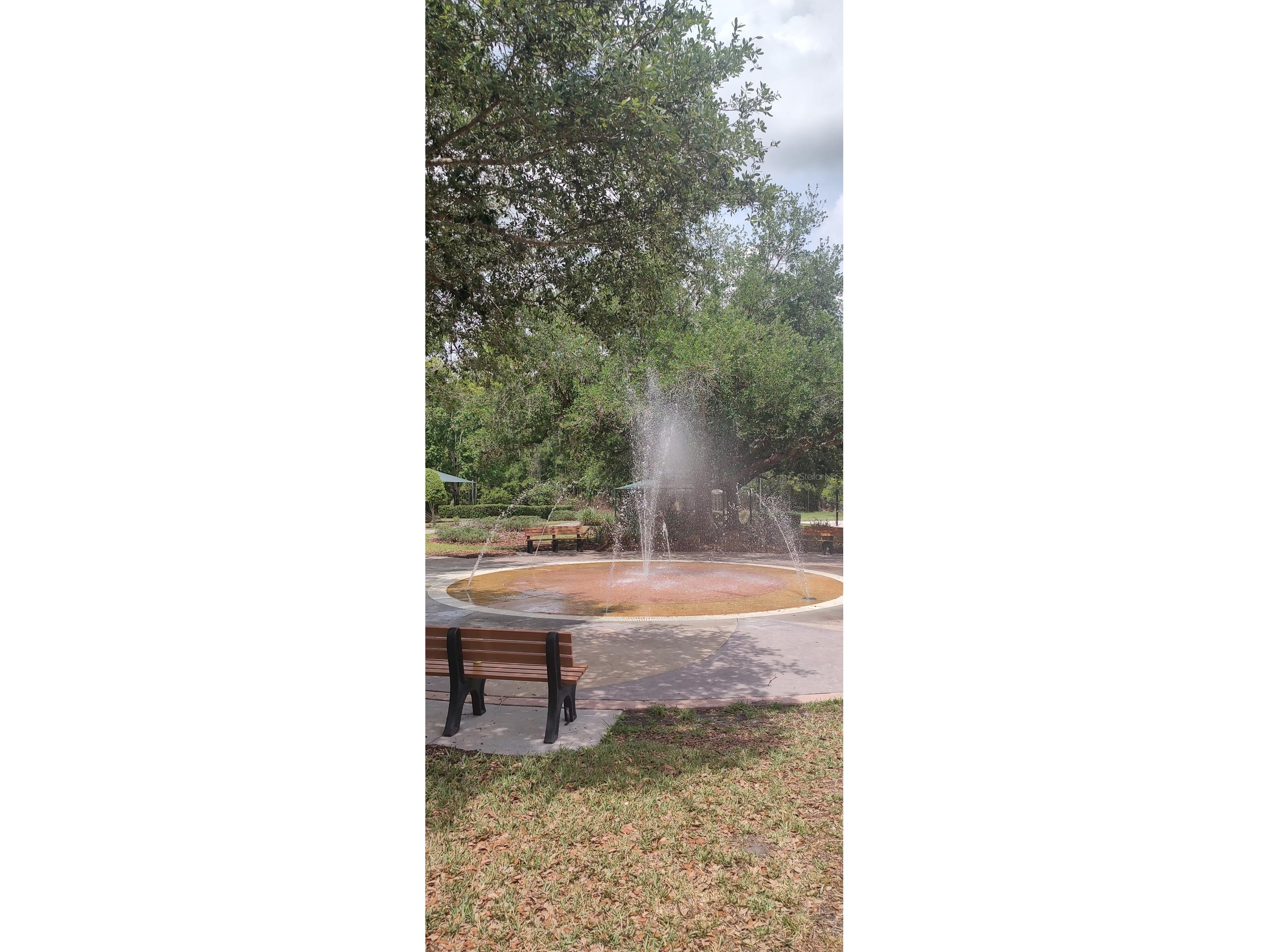 3184 Songbird Circle Harmony FL 34773 - BUCK LAKE AND CAT LAKE S5129784 image59