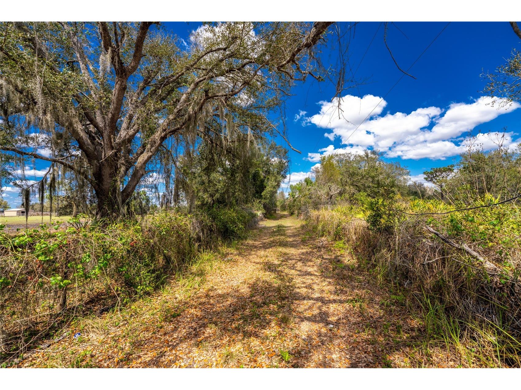 31840 Washington Loop Road Punta Gorda FL 33982 C7523182 image27
