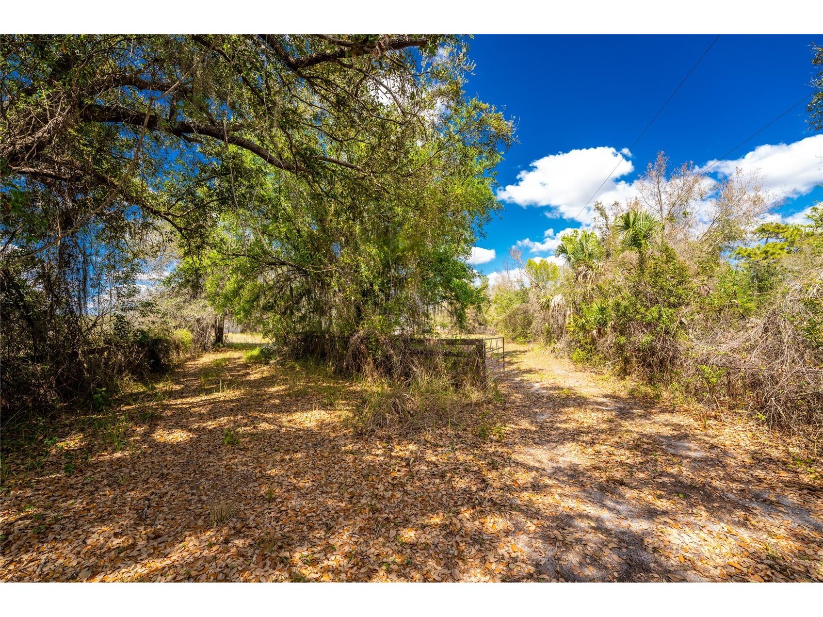 31840 Washington Loop Road Punta Gorda FL 33982 C7523182 image29