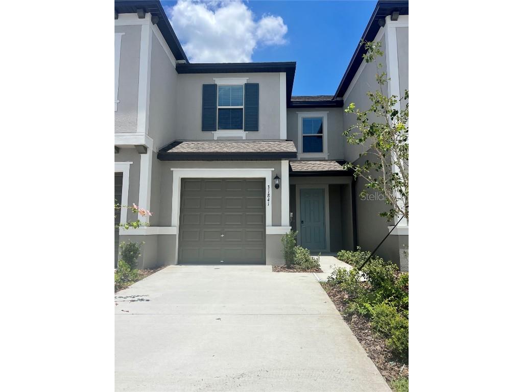 31841 Blue Passing Loop Wesley Chapel FL 33545 U8204968 image1