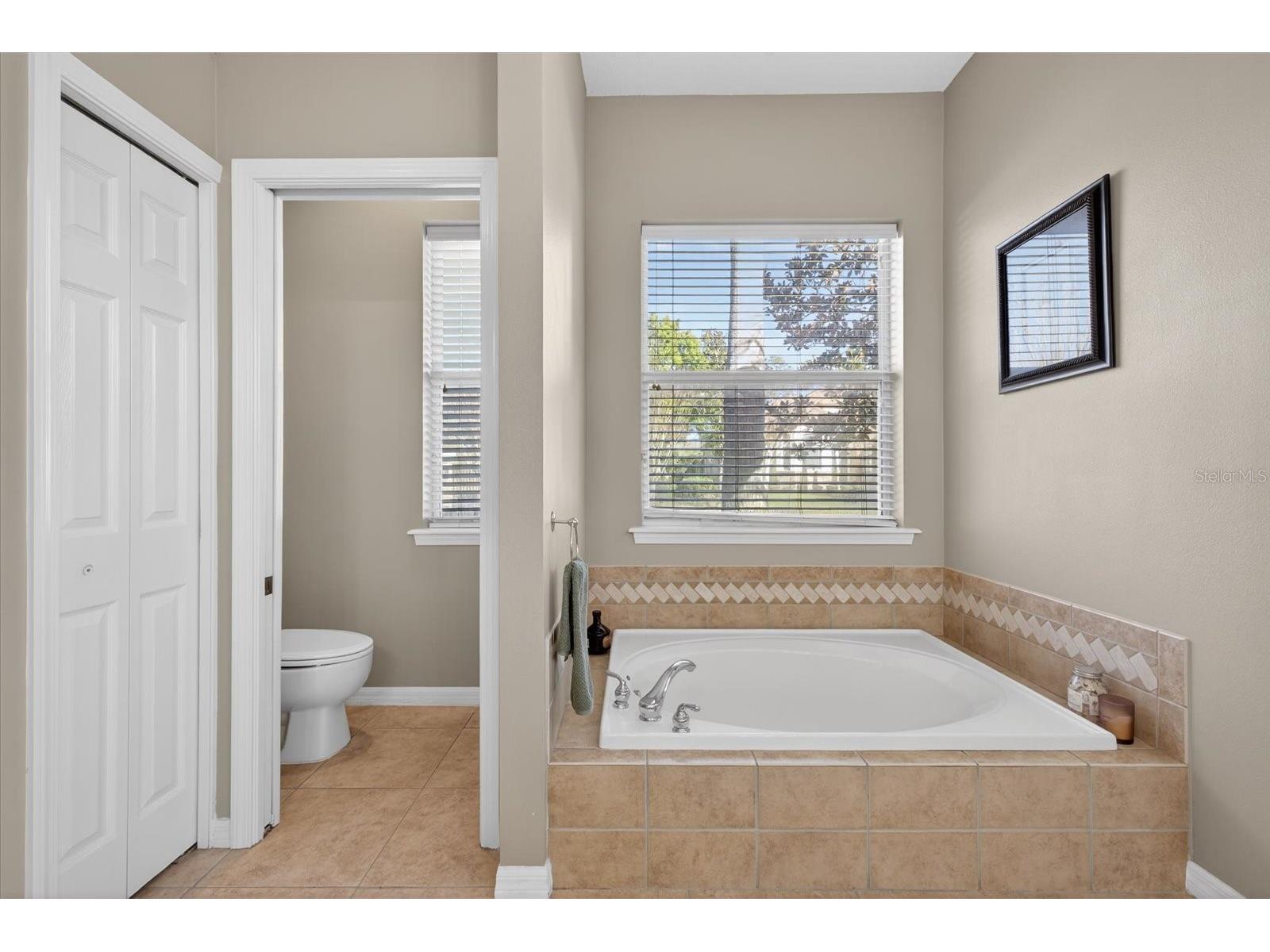 3185 Burberry Street Tarpon Springs FL 34688 TB8485151 image30