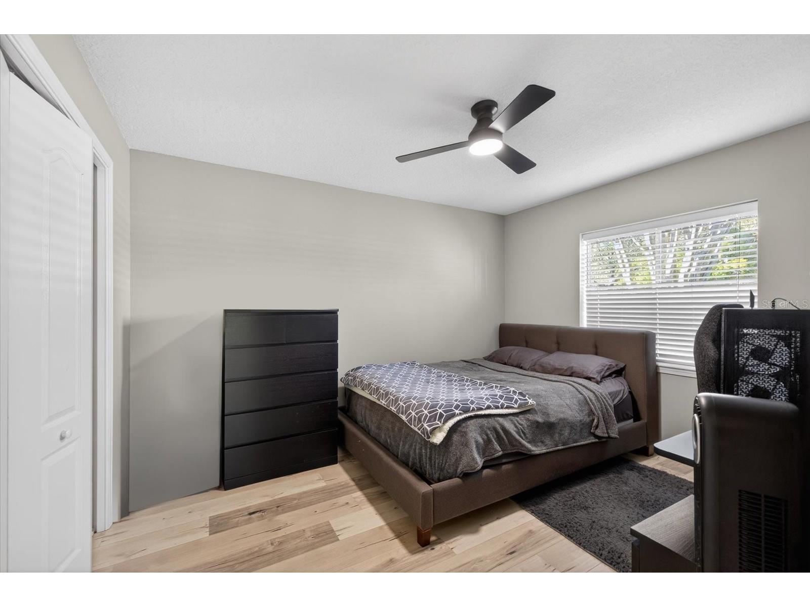 3185 Burberry Street Tarpon Springs FL 34688 TB8485151 image38