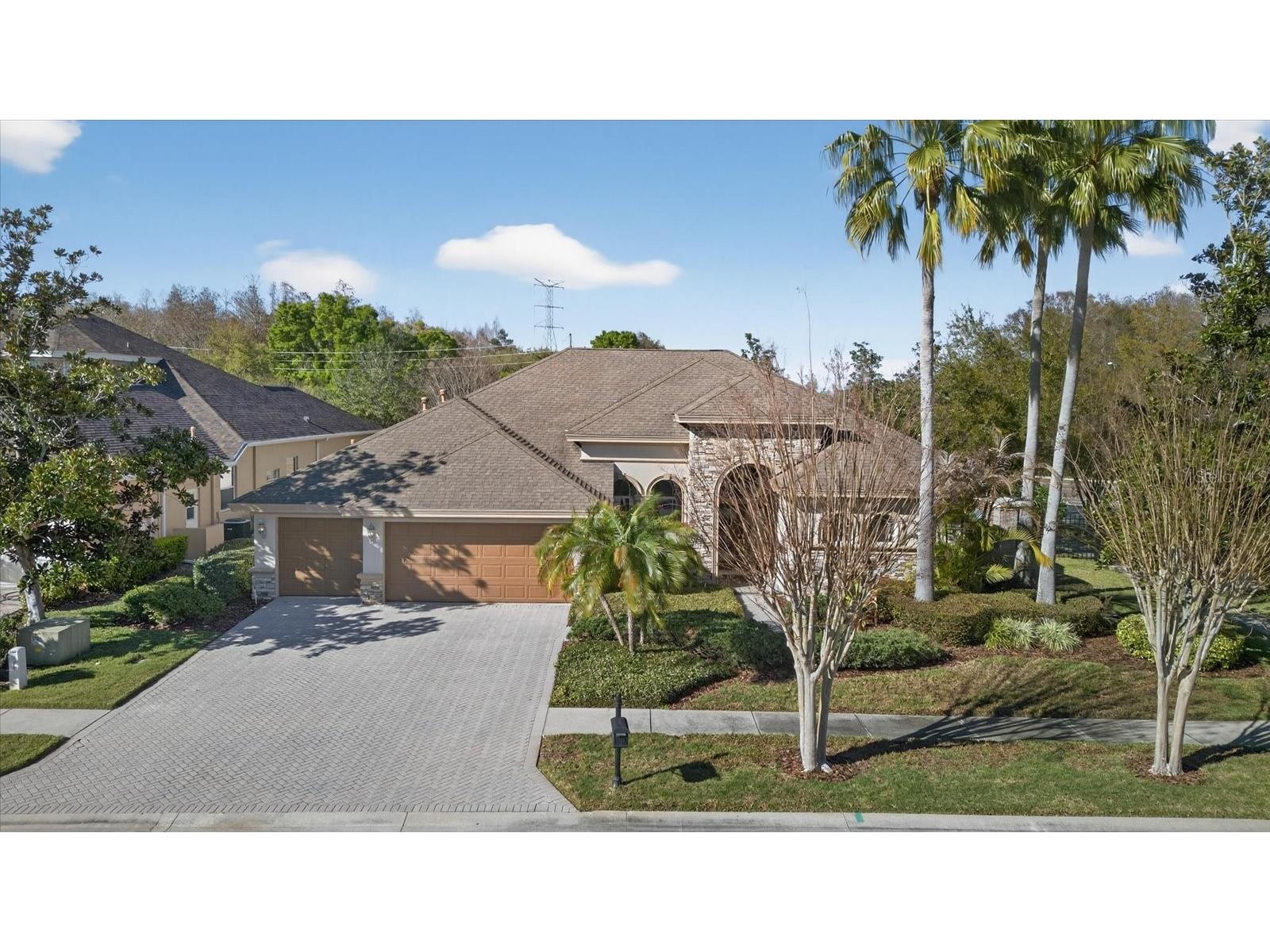 3185 Burberry Street Tarpon Springs FL 34688 TB8485151 image49