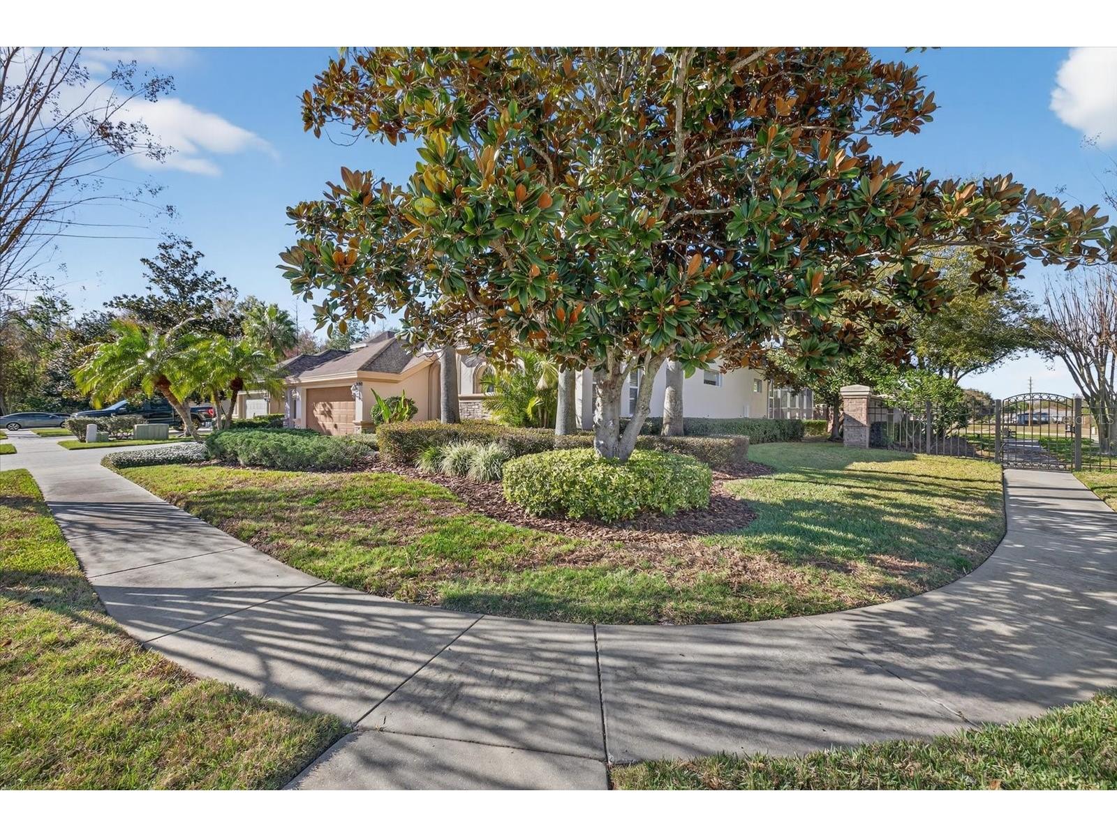 3185 Burberry Street Tarpon Springs FL 34688 TB8485151 image51
