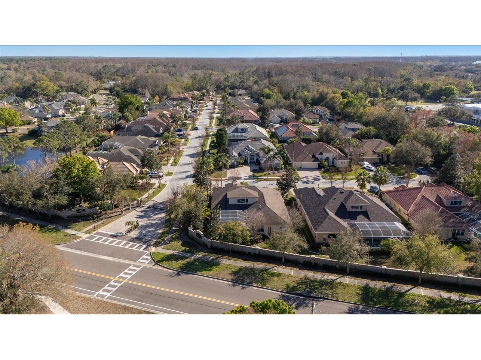 3185 Burberry Street Tarpon Springs FL 34688 TB8485151 image53