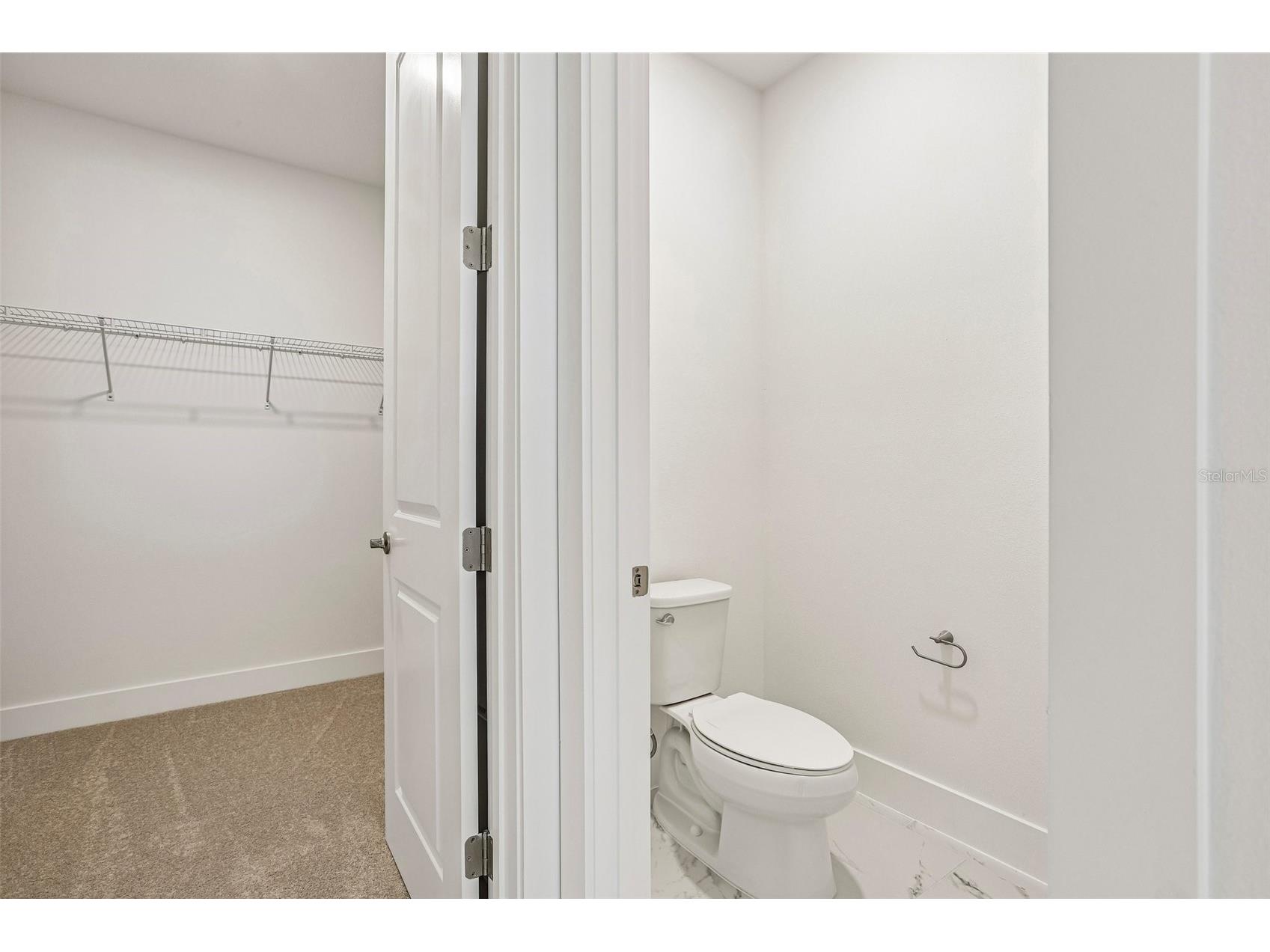 31850 Clover Fin Court Wesley Chapel FL 33545 TB8499365 image21