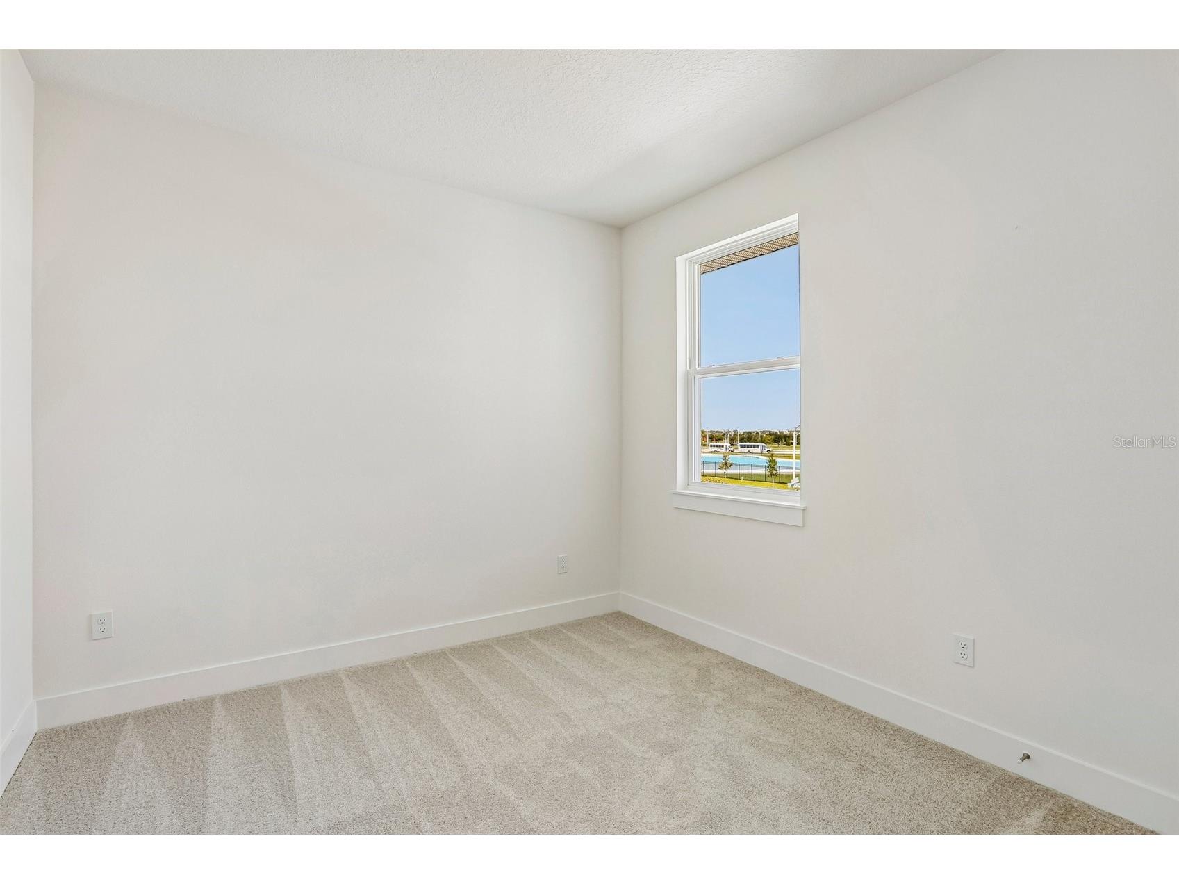31850 Clover Fin Court Wesley Chapel FL 33545 TB8499365 image25