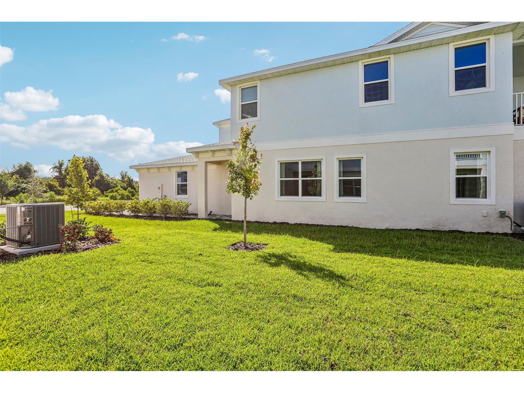 31850 Clover Fin Court Wesley Chapel FL 33545 TB8499365 image36