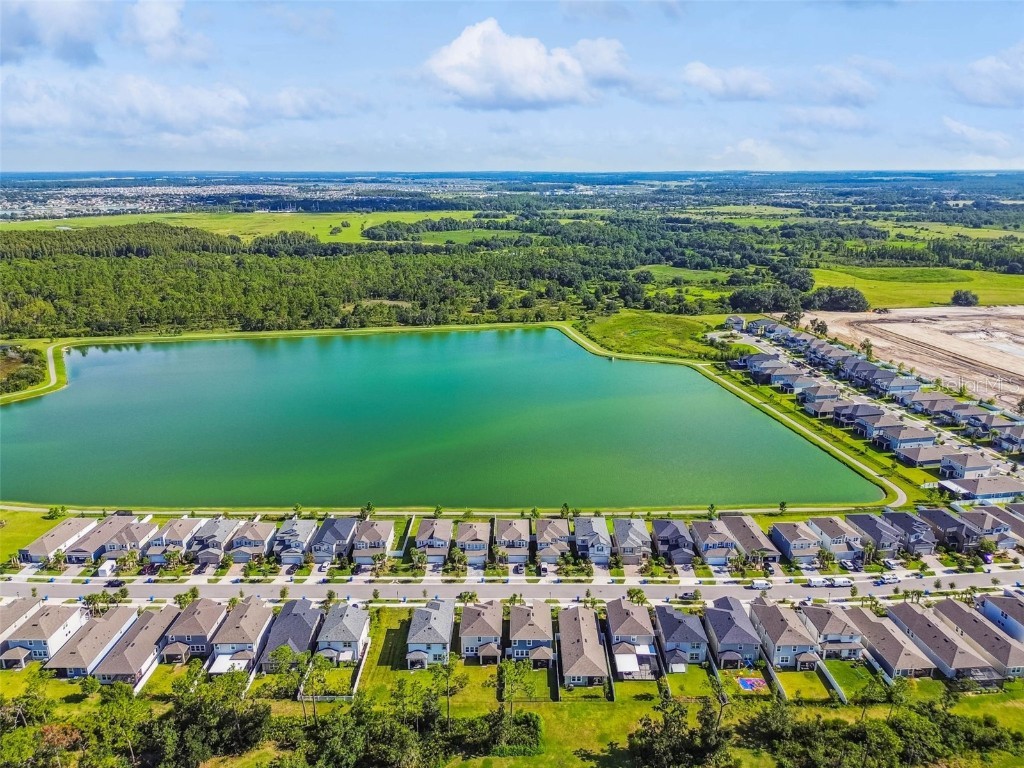 31854 Asbury Avenue Wesley Chapel FL 33545 TB8420481 image80