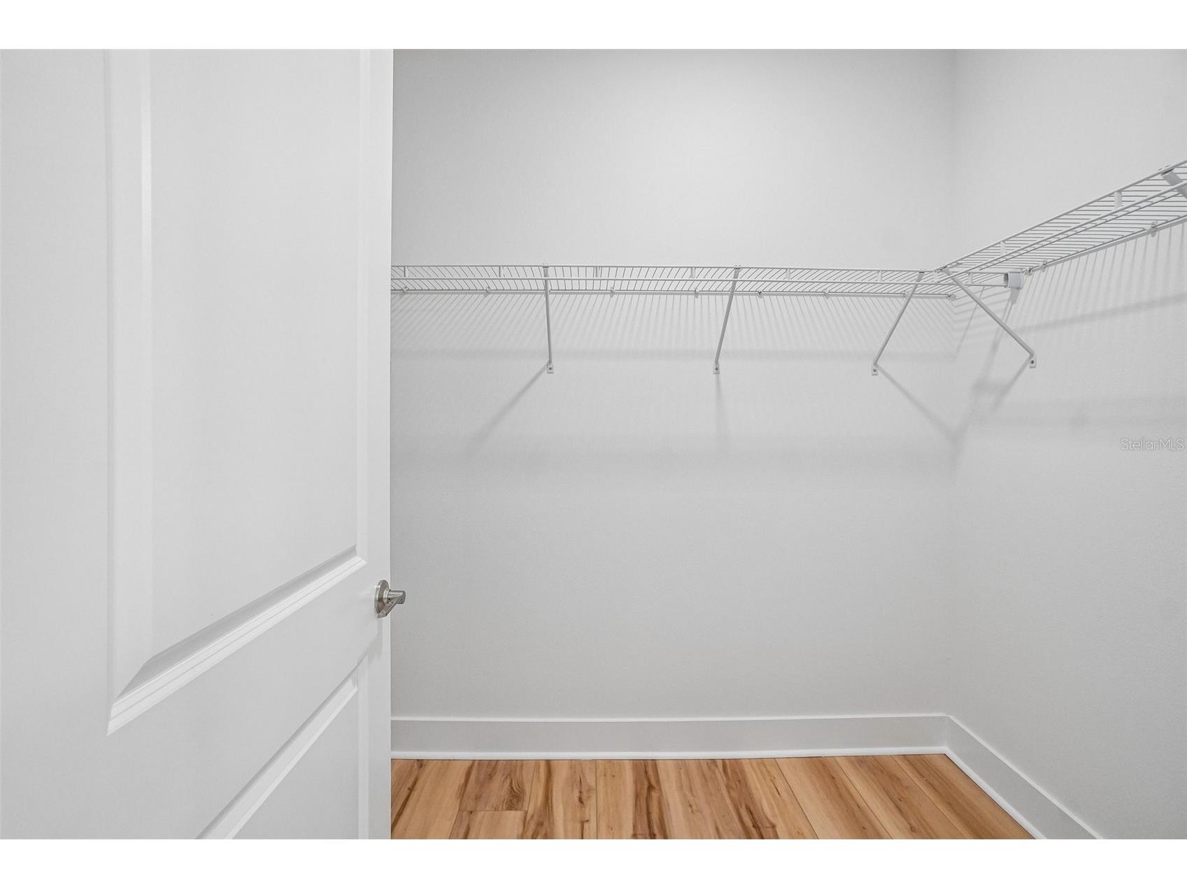 31856 Clover Fin Court Wesley Chapel FL 33545 TB8479012 image27