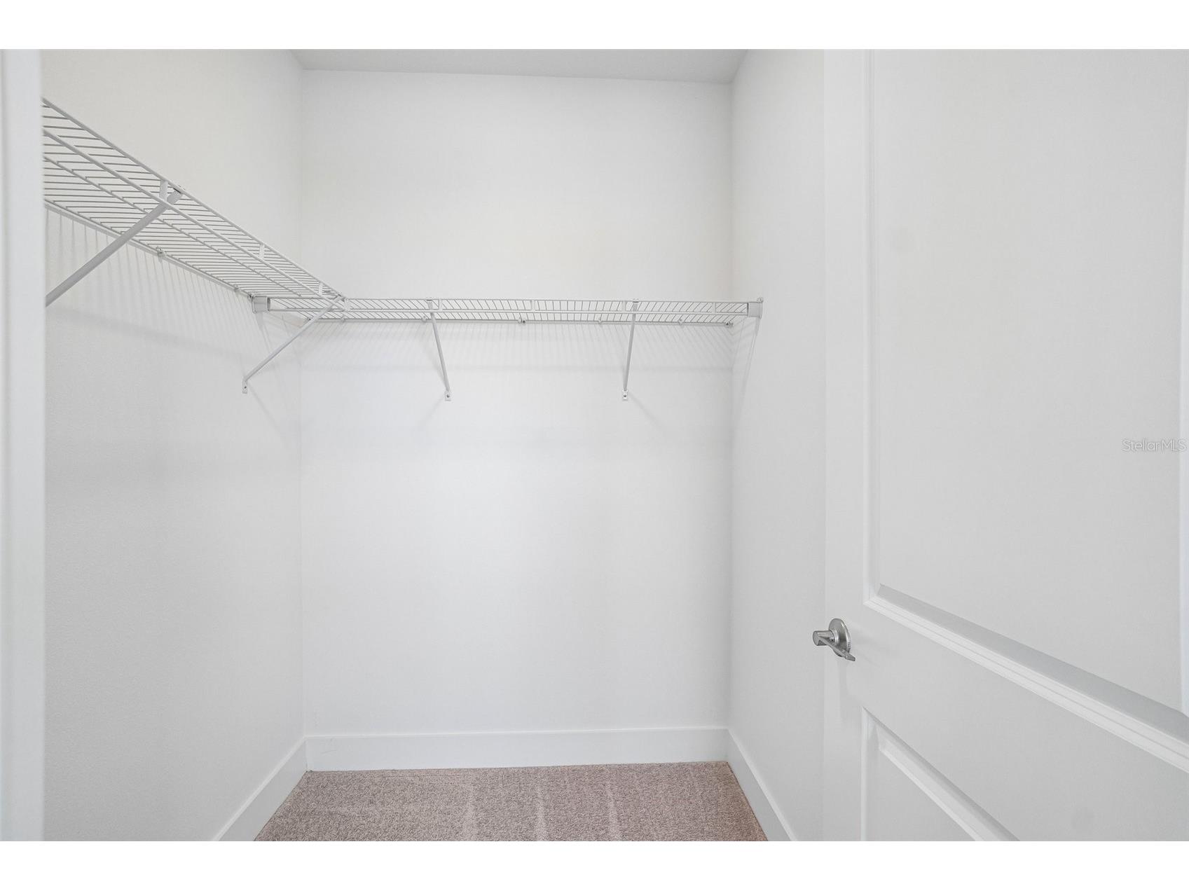 31856 Clover Fin Court Wesley Chapel FL 33545 TB8479012 image43