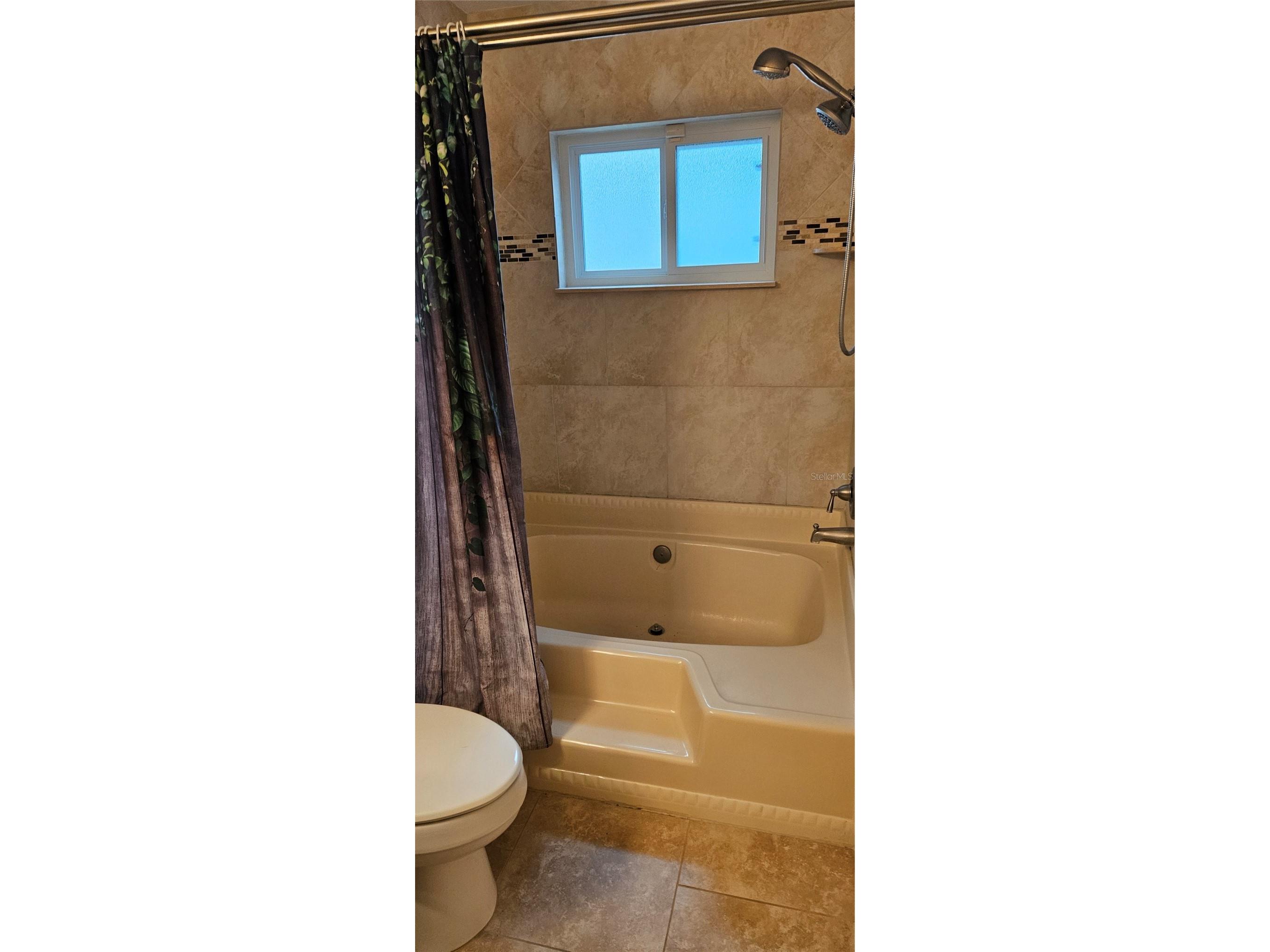 3186 Bentley Drive Palm Harbor FL 34684 TB8520453 image11