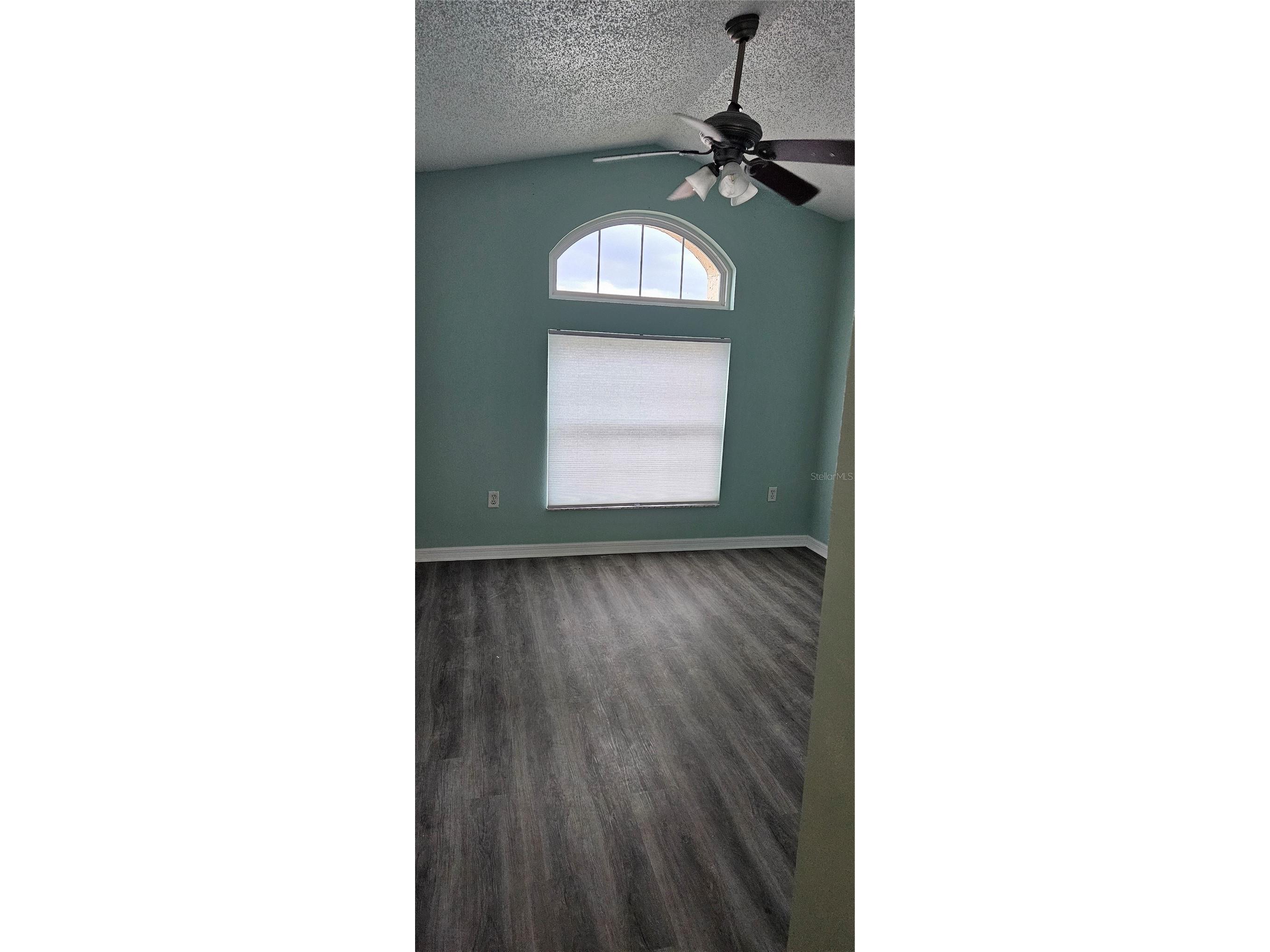 3186 Bentley Drive Palm Harbor FL 34684 TB8520453 image4