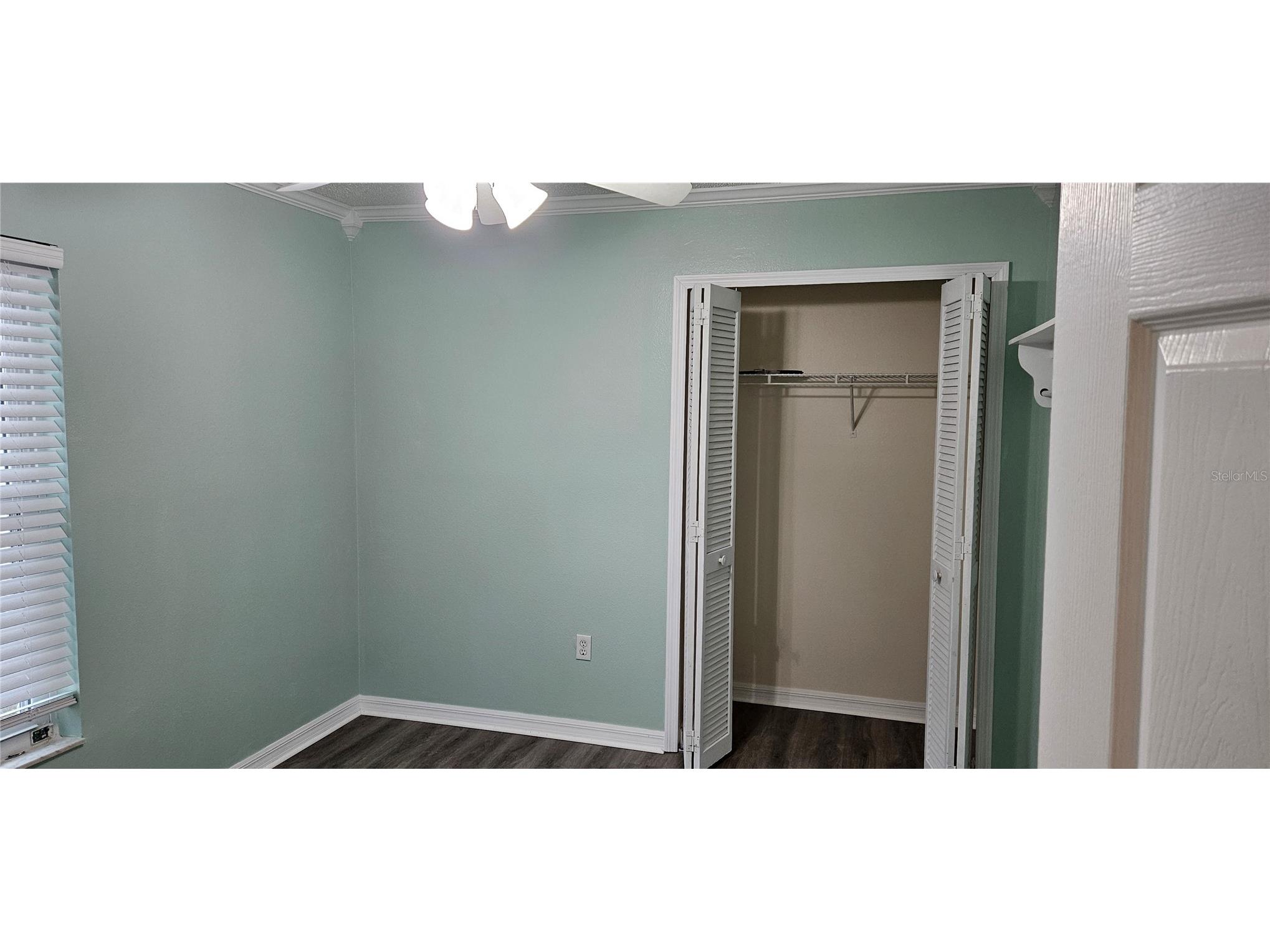 3186 Bentley Drive Palm Harbor FL 34684 TB8520453 image6