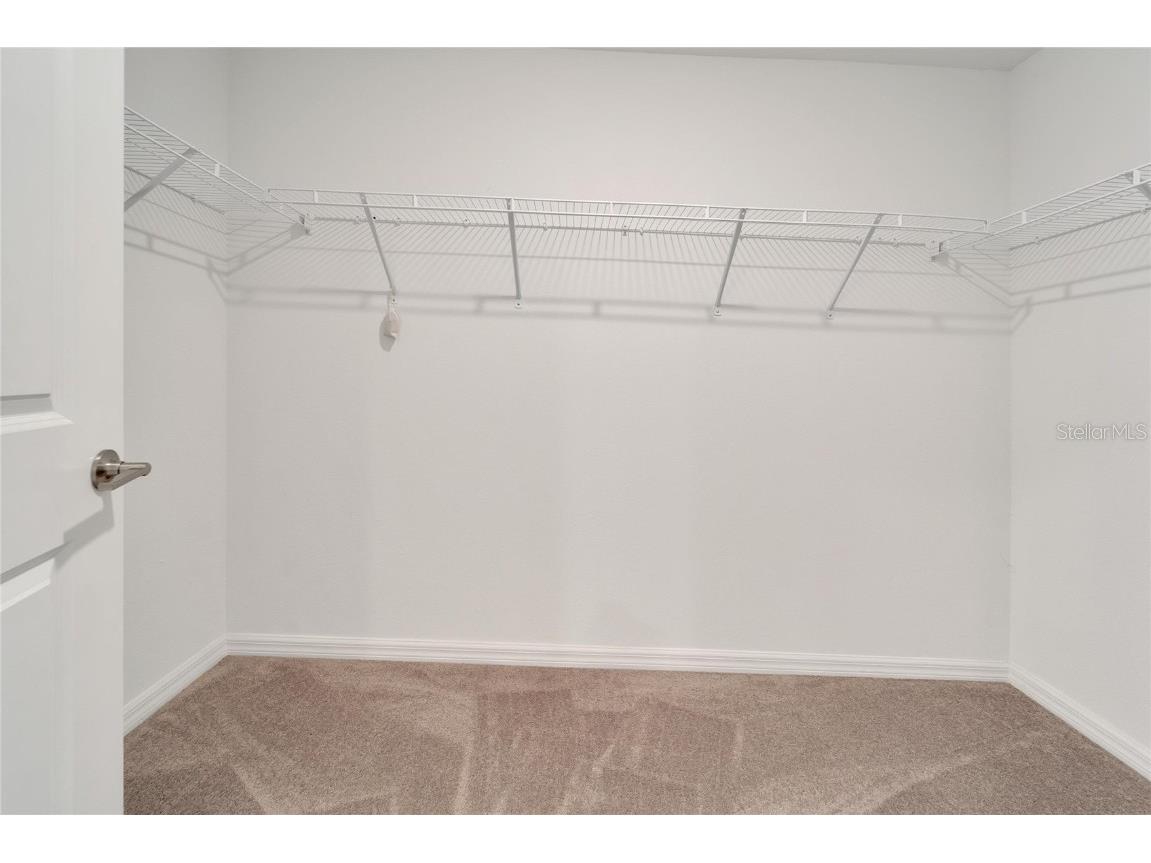 3186 Oyster Cove Street Wimauma FL 33598 TB8395954 image23